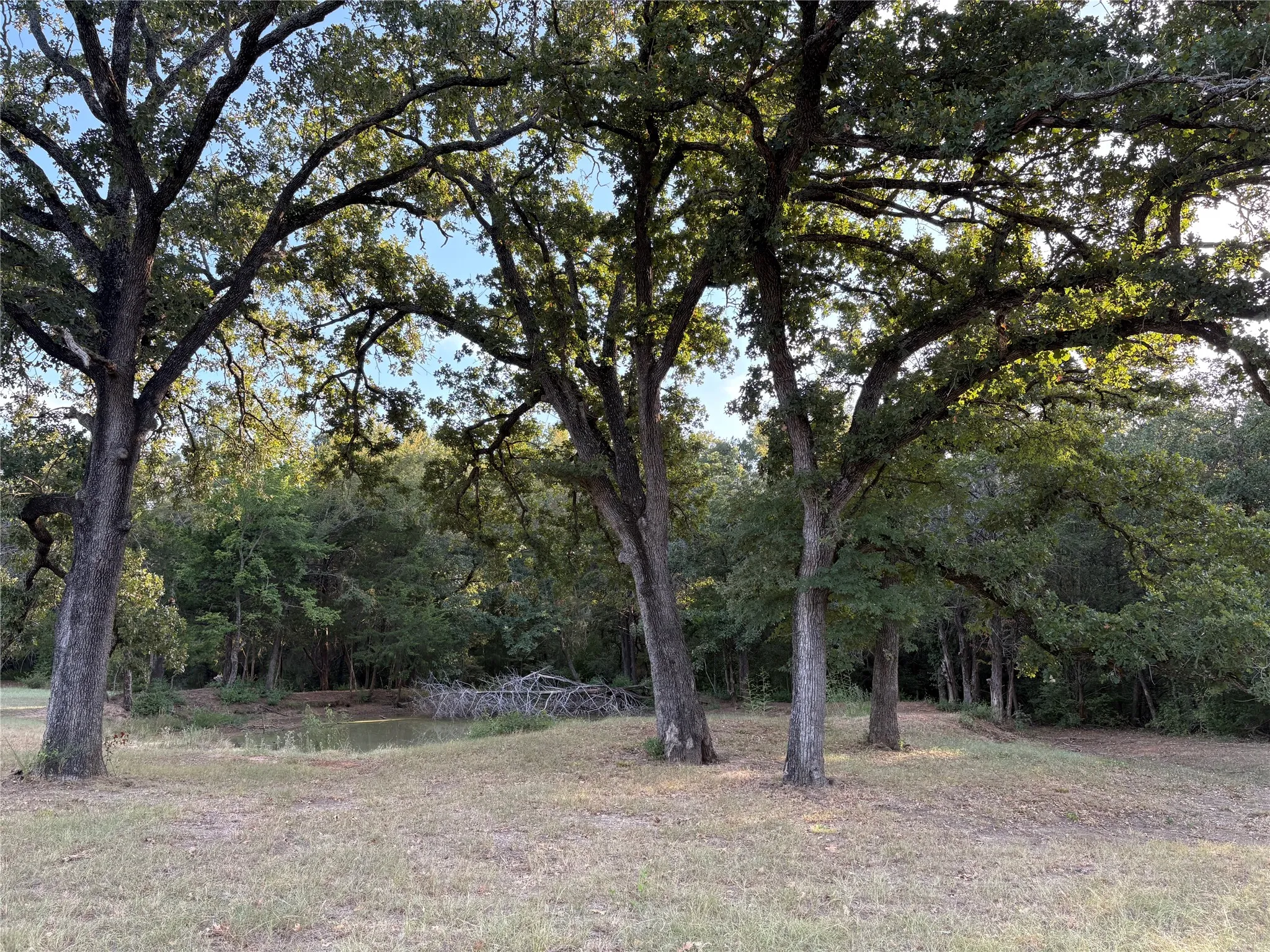 Unimproved Land For Sale in Limestone County , 134 Private Road 5762, Groesbeck, Texas 76642, 0, 0, Garage spaces, 0 Sqft, built in 0, mls#21368471, Real Estate Agent in Groesbeck, Homes For Sale in Limestone county, Homes For Sale in Groesbeck, Realtor in Groesbeck Texas, Real Estate Brokerage Independent Realty Texas, Luminita Cordes Realtor