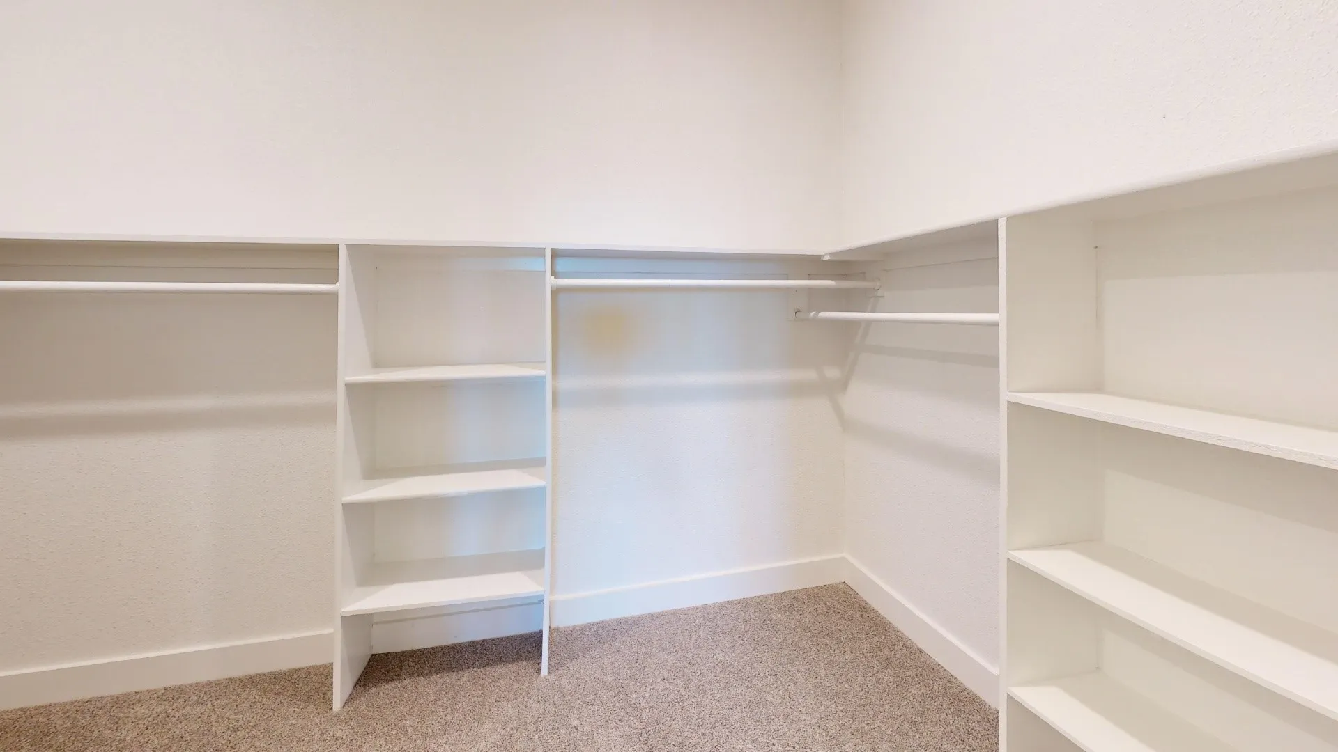 Built-in shelving, multiple hanging rods, and carpeted flooring