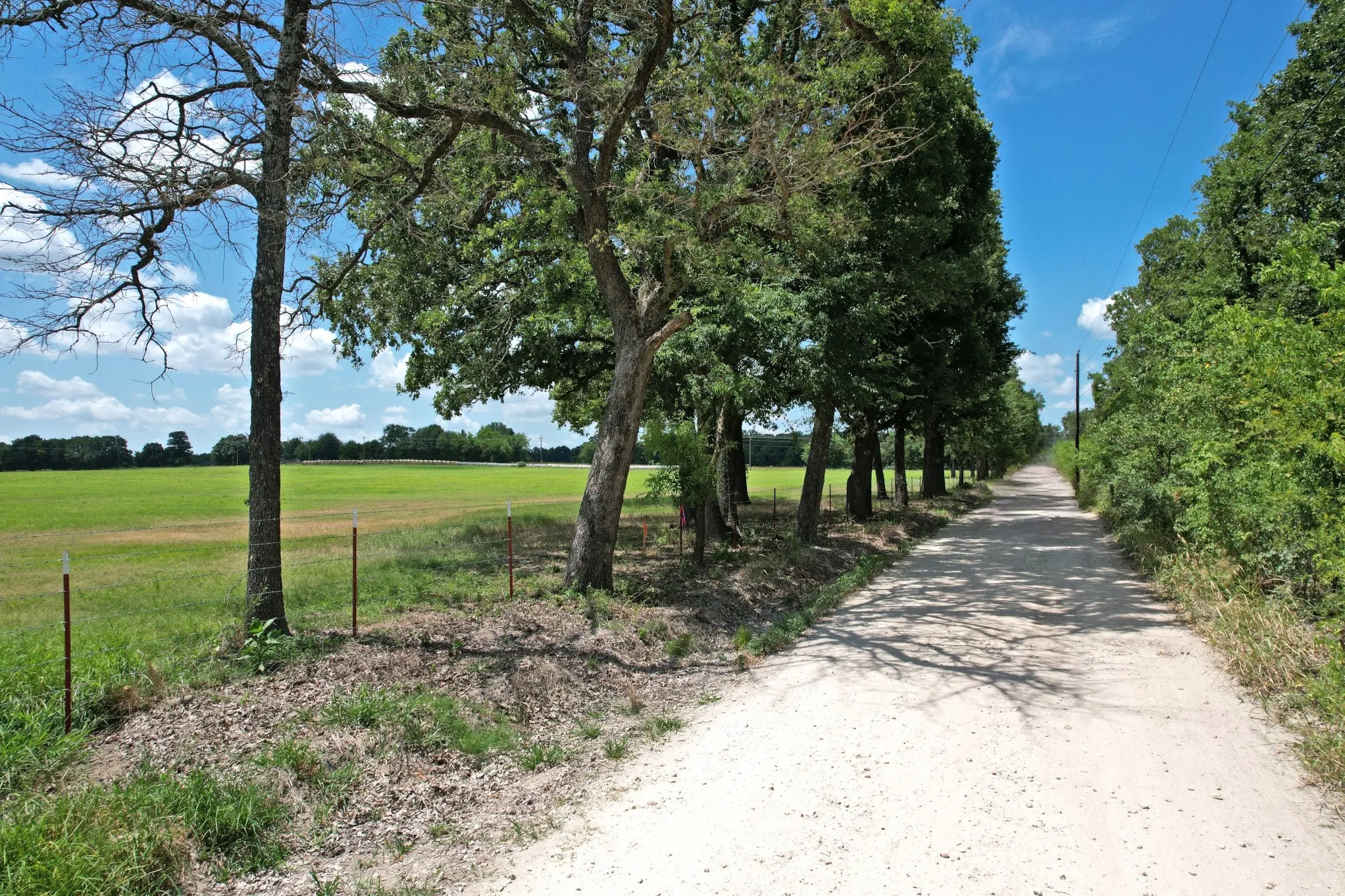 Unimproved Land For Sale in Van Zandt County , Lot 10 VZ County Road 3222, Wills Point, Texas 75169, 0, 0, Garage spaces, 0 Sqft, built in 0, mls#21368748, Real Estate Agent in Wills Point, Homes For Sale in Van Zandt county, Homes For Sale in Wills Point, Realtor in Wills Point Texas, Real Estate Brokerage Independent Realty Texas, Luminita Cordes Realtor