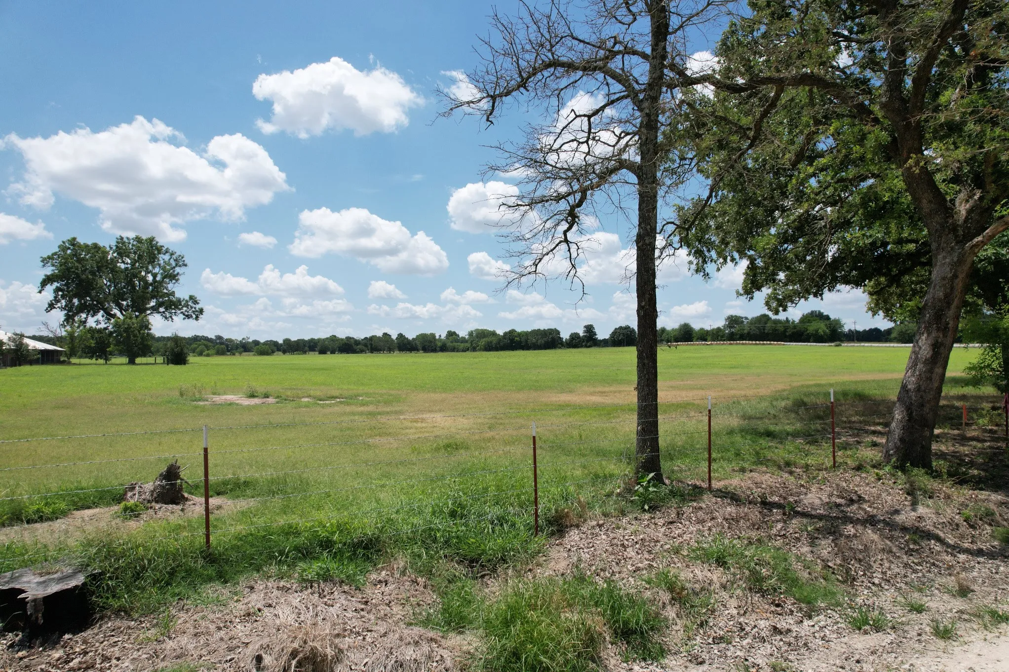 Unimproved Land For Sale in Van Zandt County , Lot 10 VZ County Road 3222, Wills Point, Texas 75169, 0, 0, Garage spaces, 0 Sqft, built in 0, mls#21368748, Real Estate Agent in Wills Point, Homes For Sale in Van Zandt county, Homes For Sale in Wills Point, Realtor in Wills Point Texas, Real Estate Brokerage Independent Realty Texas, Luminita Cordes Realtor