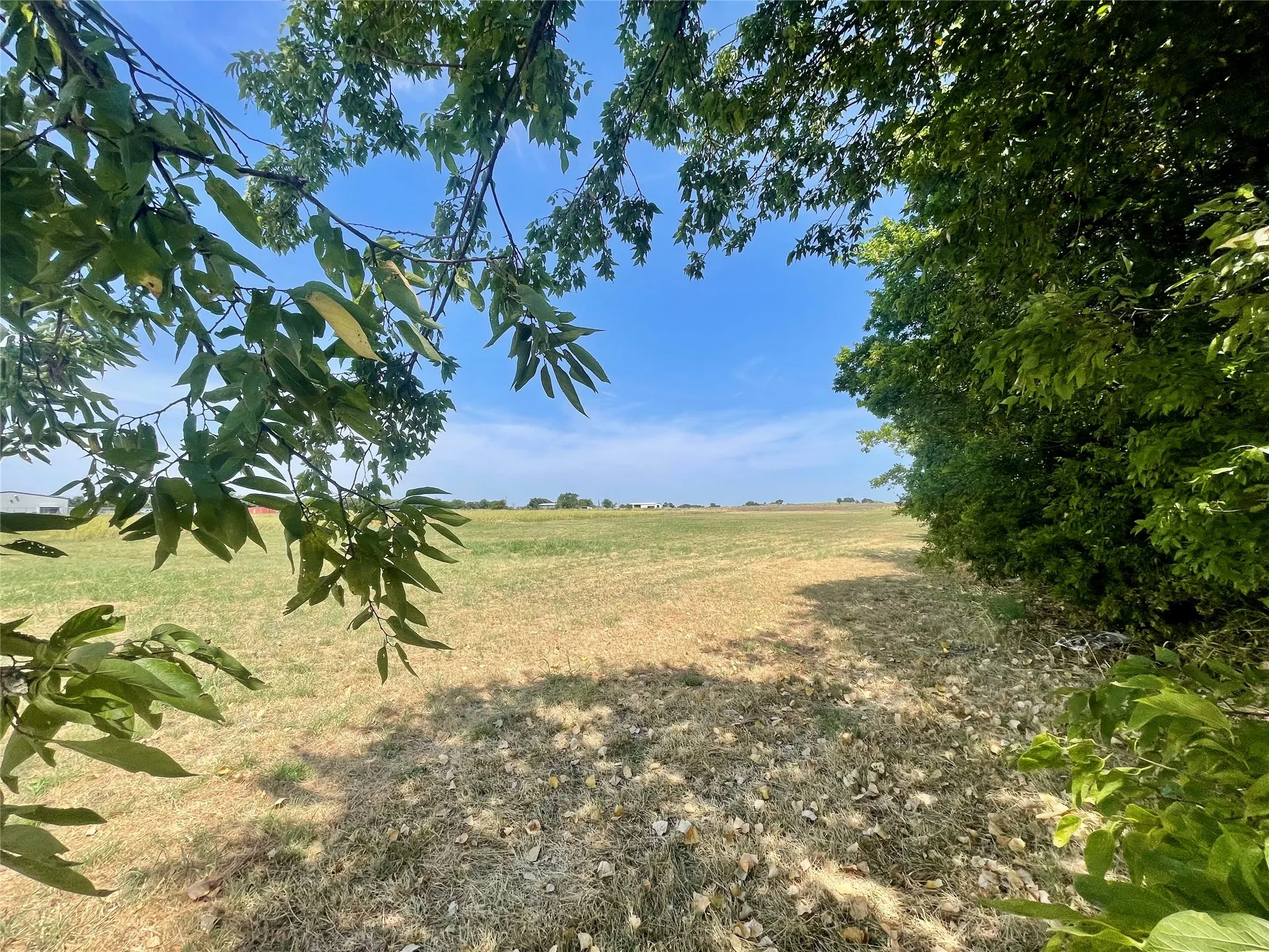 Unimproved Land For Sale in Grayson County , 999 N Denny Street, Howe, Texas 75459, 0, 0, Garage spaces, 0 Sqft, built in 0, mls#21367631, Real Estate Agent in Howe, Homes For Sale in Grayson county, Homes For Sale in Howe, Realtor in Howe Texas, Real Estate Brokerage Independent Realty Texas, Luminita Cordes Realtor