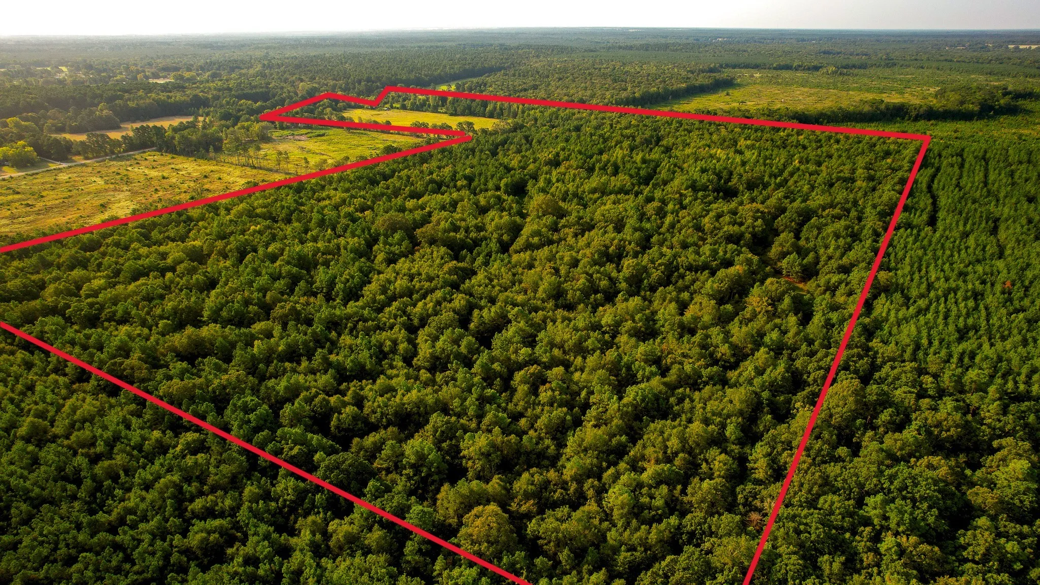 Unimproved Land For Sale in Red River (TX) County , 1763 FM 2118, Bagwell, Texas 75412, 0, 0, Garage spaces, 0 Sqft, built in 0, mls#21368753, Real Estate Agent in Bagwell, Homes For Sale in Red River (TX) county, Homes For Sale in Bagwell, Realtor in Bagwell Texas, Real Estate Brokerage Independent Realty Texas, Luminita Cordes Realtor