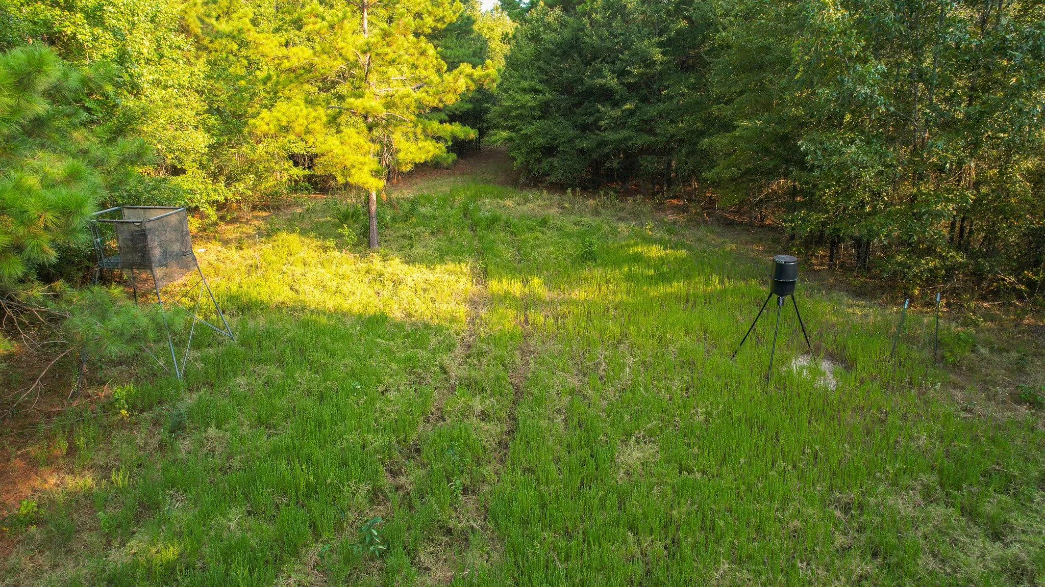 Unimproved Land For Sale in Red River (TX) County , 1763 FM 2118, Bagwell, Texas 75412, 0, 0, Garage spaces, 0 Sqft, built in 0, mls#21368753, Real Estate Agent in Bagwell, Homes For Sale in Red River (TX) county, Homes For Sale in Bagwell, Realtor in Bagwell Texas, Real Estate Brokerage Independent Realty Texas, Luminita Cordes Realtor