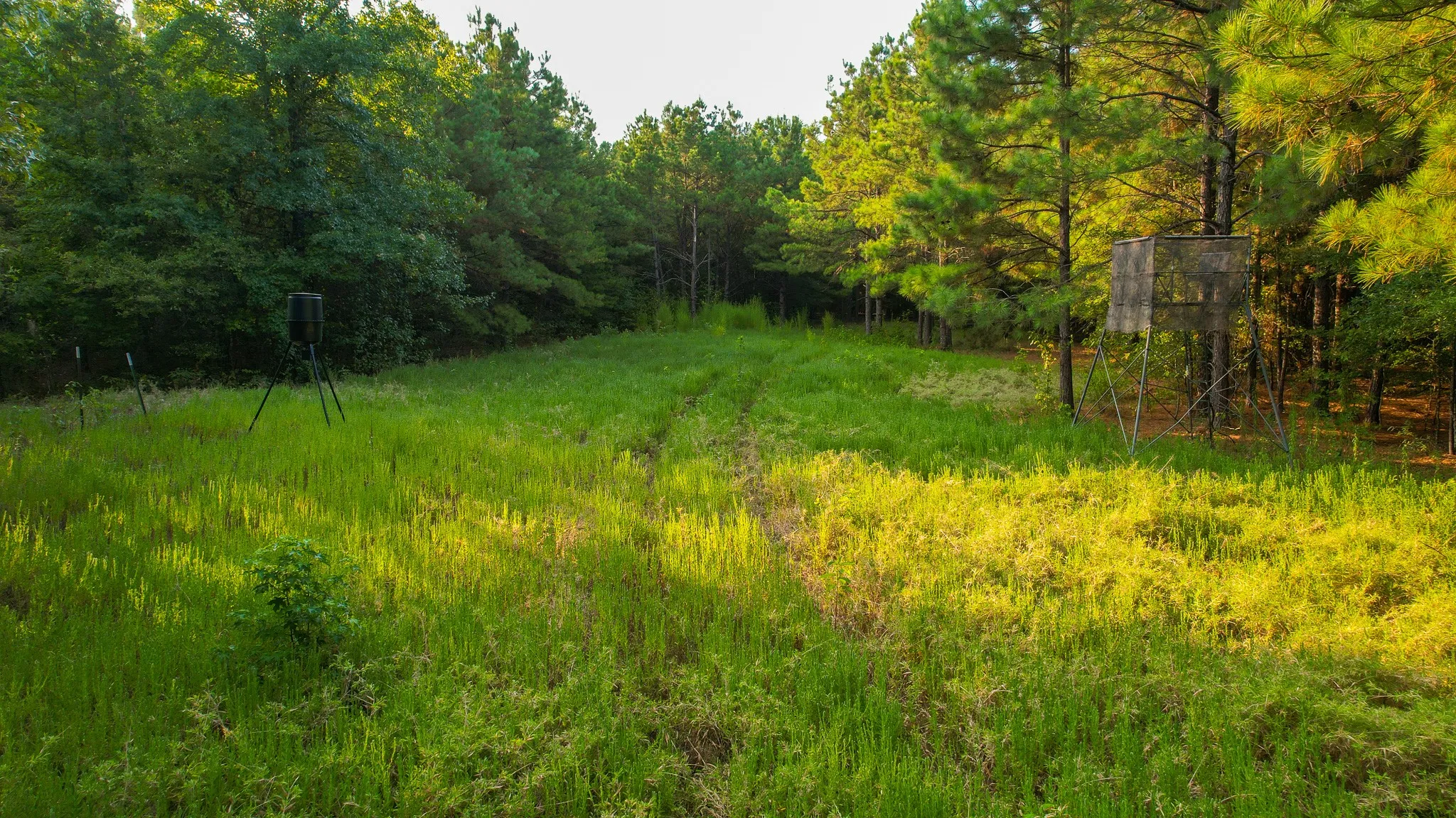 Unimproved Land For Sale in Red River (TX) County , 1763 FM 2118, Bagwell, Texas 75412, 0, 0, Garage spaces, 0 Sqft, built in 0, mls#21368753, Real Estate Agent in Bagwell, Homes For Sale in Red River (TX) county, Homes For Sale in Bagwell, Realtor in Bagwell Texas, Real Estate Brokerage Independent Realty Texas, Luminita Cordes Realtor