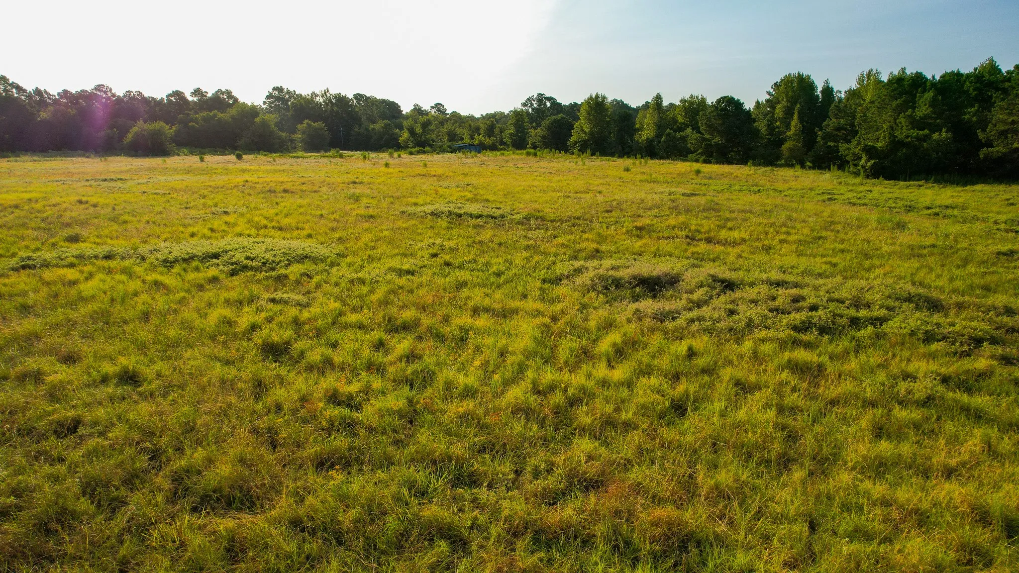 Unimproved Land For Sale in Red River (TX) County , 1763 FM 2118, Bagwell, Texas 75412, 0, 0, Garage spaces, 0 Sqft, built in 0, mls#21368753, Real Estate Agent in Bagwell, Homes For Sale in Red River (TX) county, Homes For Sale in Bagwell, Realtor in Bagwell Texas, Real Estate Brokerage Independent Realty Texas, Luminita Cordes Realtor