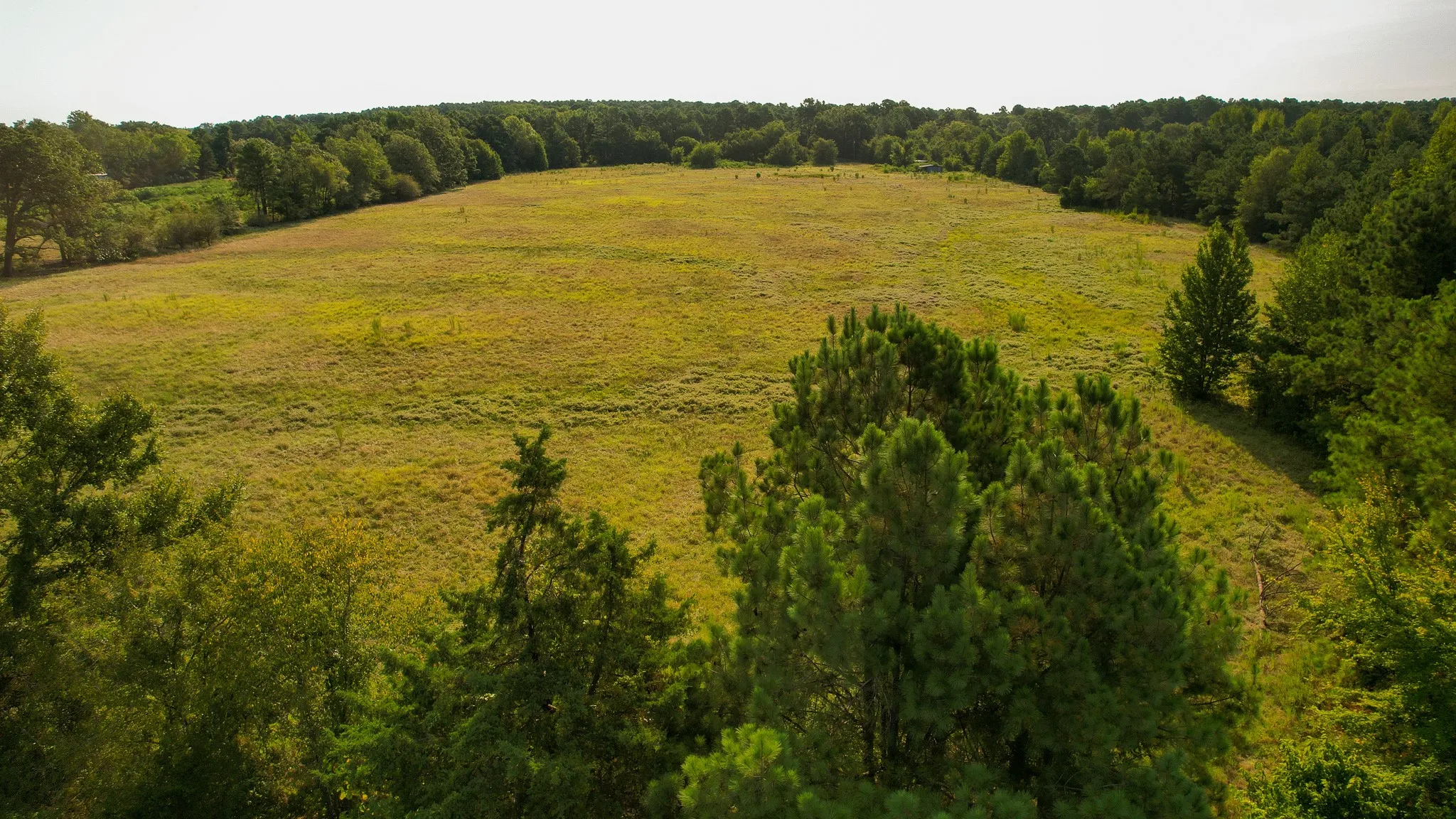 Unimproved Land For Sale in Red River (TX) County , 1763 FM 2118, Bagwell, Texas 75412, 0, 0, Garage spaces, 0 Sqft, built in 0, mls#21368753, Real Estate Agent in Bagwell, Homes For Sale in Red River (TX) county, Homes For Sale in Bagwell, Realtor in Bagwell Texas, Real Estate Brokerage Independent Realty Texas, Luminita Cordes Realtor