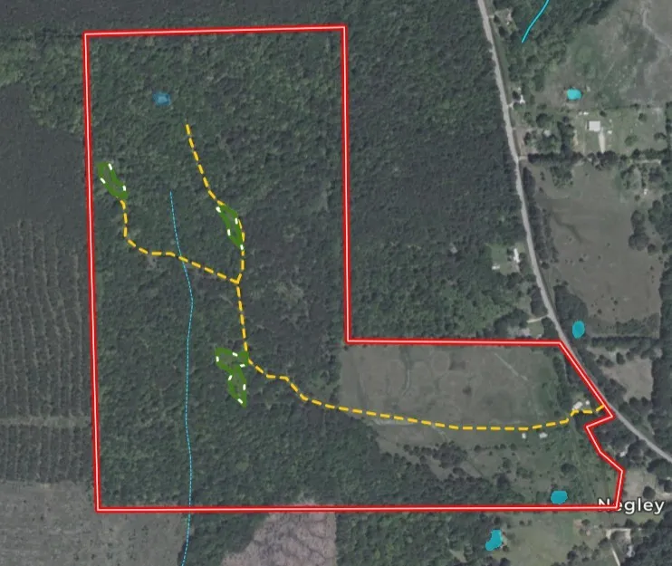 Unimproved Land For Sale in Red River (TX) County , 1763 FM 2118, Bagwell, Texas 75412, 0, 0, Garage spaces, 0 Sqft, built in 0, mls#21368753, Real Estate Agent in Bagwell, Homes For Sale in Red River (TX) county, Homes For Sale in Bagwell, Realtor in Bagwell Texas, Real Estate Brokerage Independent Realty Texas, Luminita Cordes Realtor