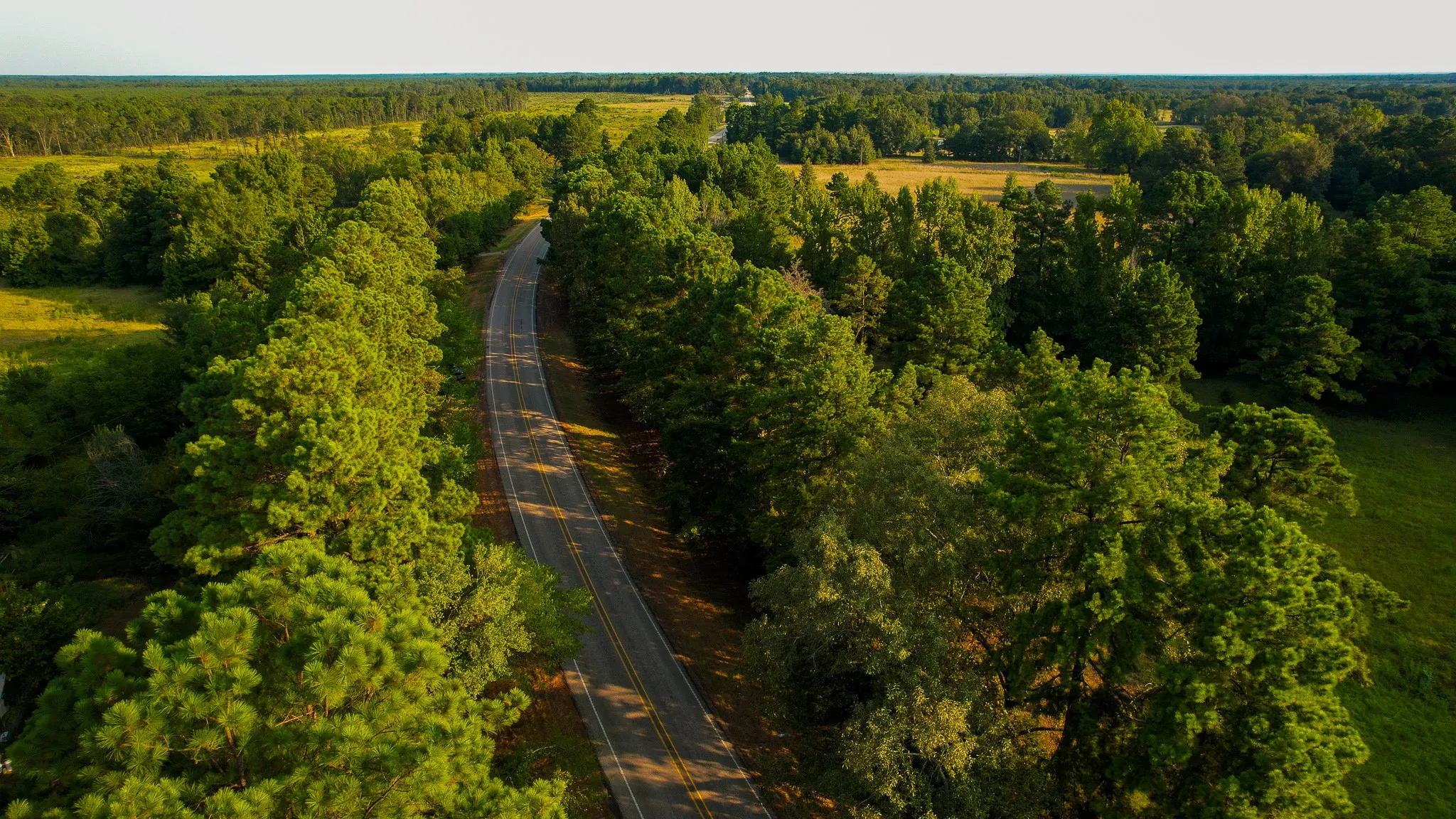 Unimproved Land For Sale in Red River (TX) County , 1763 FM 2118, Bagwell, Texas 75412, 0, 0, Garage spaces, 0 Sqft, built in 0, mls#21368753, Real Estate Agent in Bagwell, Homes For Sale in Red River (TX) county, Homes For Sale in Bagwell, Realtor in Bagwell Texas, Real Estate Brokerage Independent Realty Texas, Luminita Cordes Realtor