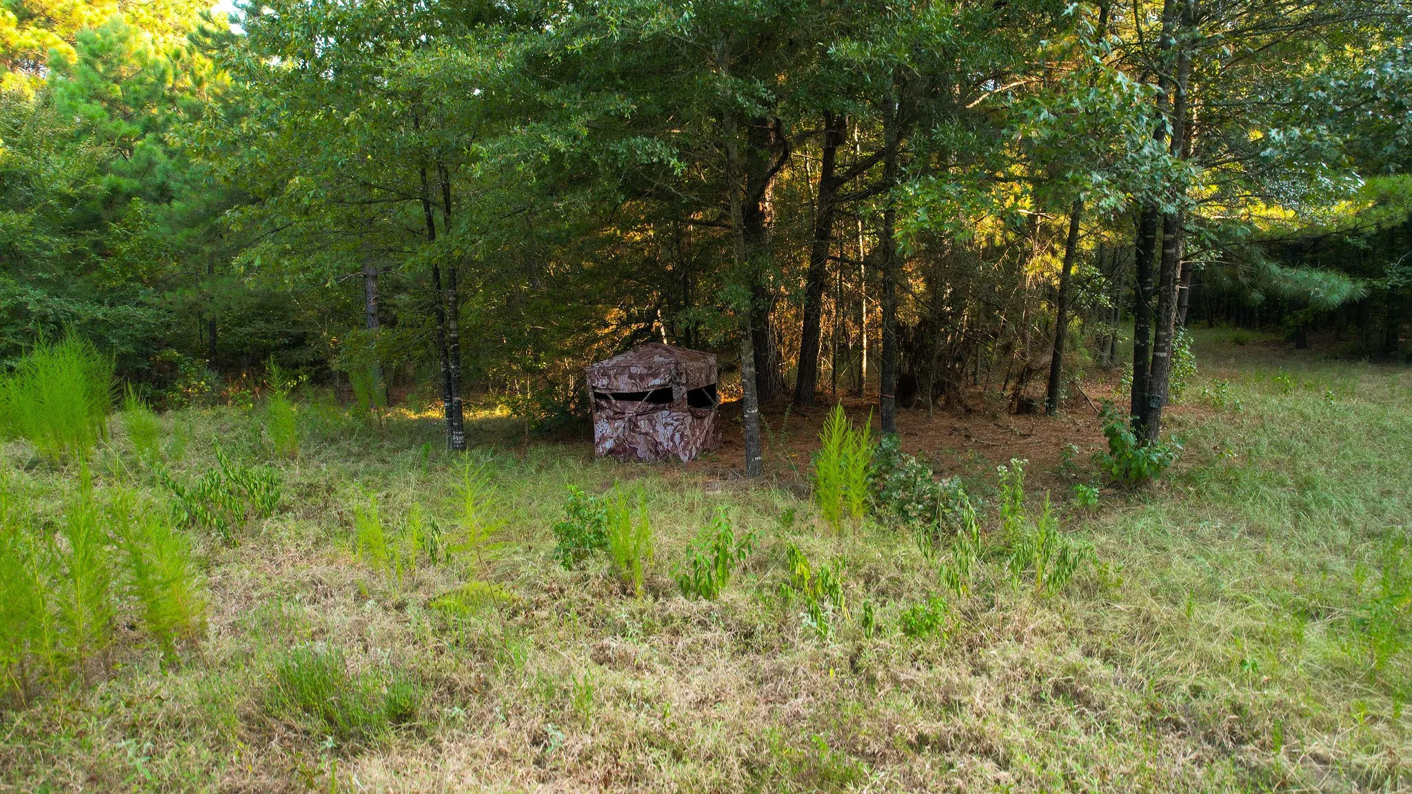 Unimproved Land For Sale in Red River (TX) County , 1763 FM 2118, Bagwell, Texas 75412, 0, 0, Garage spaces, 0 Sqft, built in 0, mls#21368753, Real Estate Agent in Bagwell, Homes For Sale in Red River (TX) county, Homes For Sale in Bagwell, Realtor in Bagwell Texas, Real Estate Brokerage Independent Realty Texas, Luminita Cordes Realtor