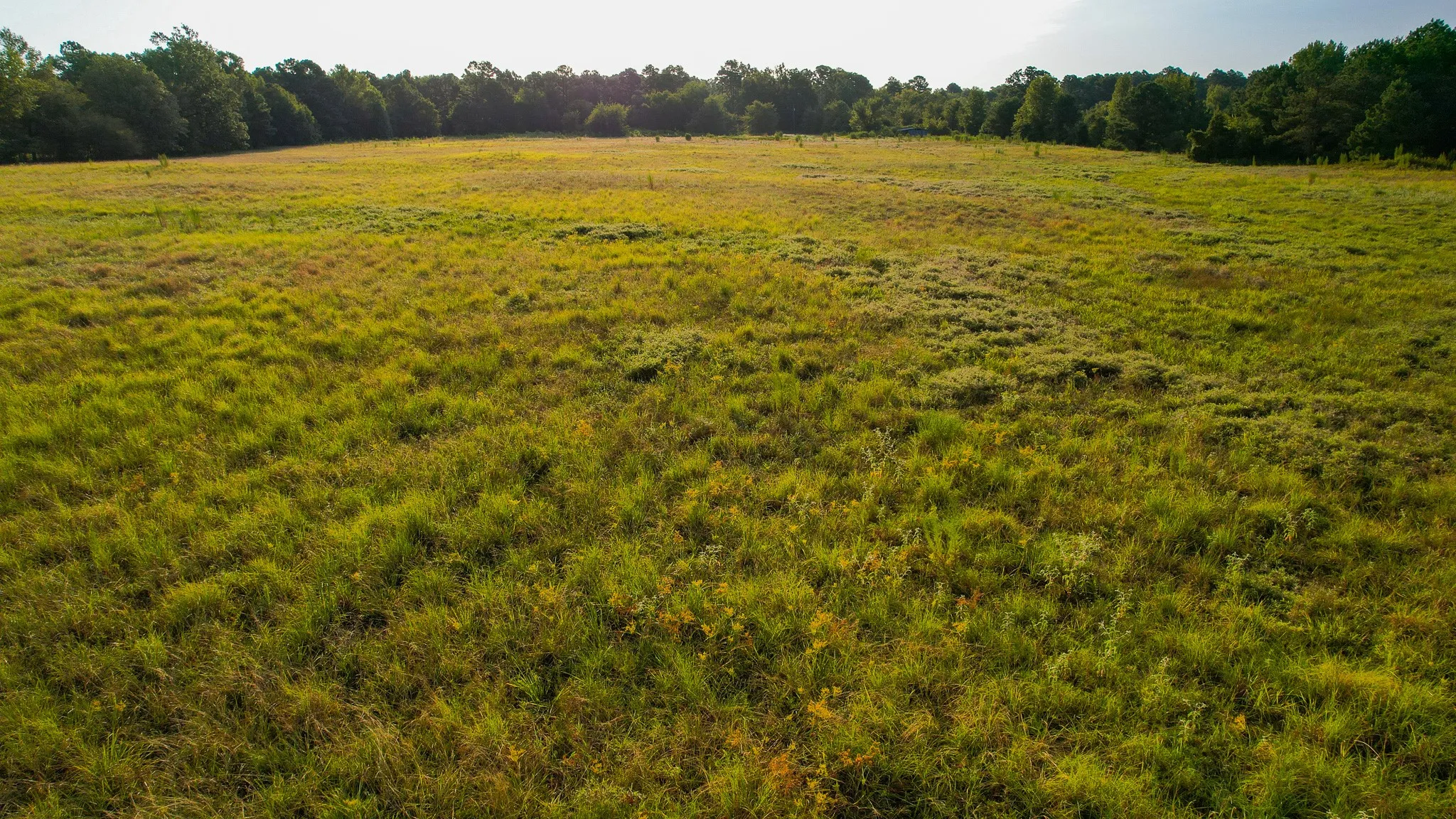 Unimproved Land For Sale in Red River (TX) County , 1763 FM 2118, Bagwell, Texas 75412, 0, 0, Garage spaces, 0 Sqft, built in 0, mls#21368753, Real Estate Agent in Bagwell, Homes For Sale in Red River (TX) county, Homes For Sale in Bagwell, Realtor in Bagwell Texas, Real Estate Brokerage Independent Realty Texas, Luminita Cordes Realtor