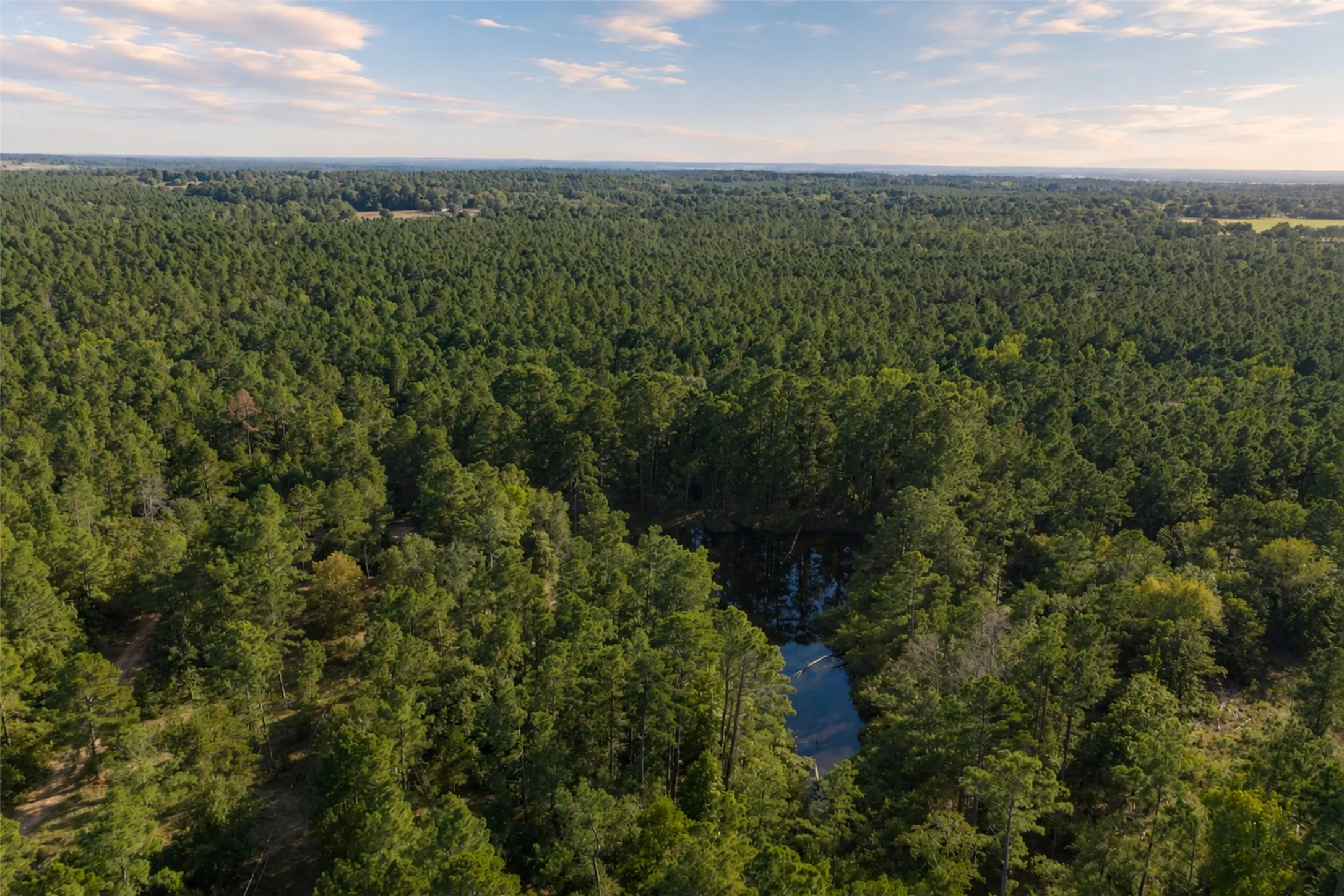 Unimproved Land For Sale in Anderson County , 00 State Highway 294, Elkhart, Texas 75839, 0, 0, Garage spaces, 0 Sqft, built in 0, mls#21368752, Real Estate Agent in Elkhart, Homes For Sale in Anderson county, Homes For Sale in Elkhart, Realtor in Elkhart Texas, Real Estate Brokerage Independent Realty Texas, Luminita Cordes Realtor