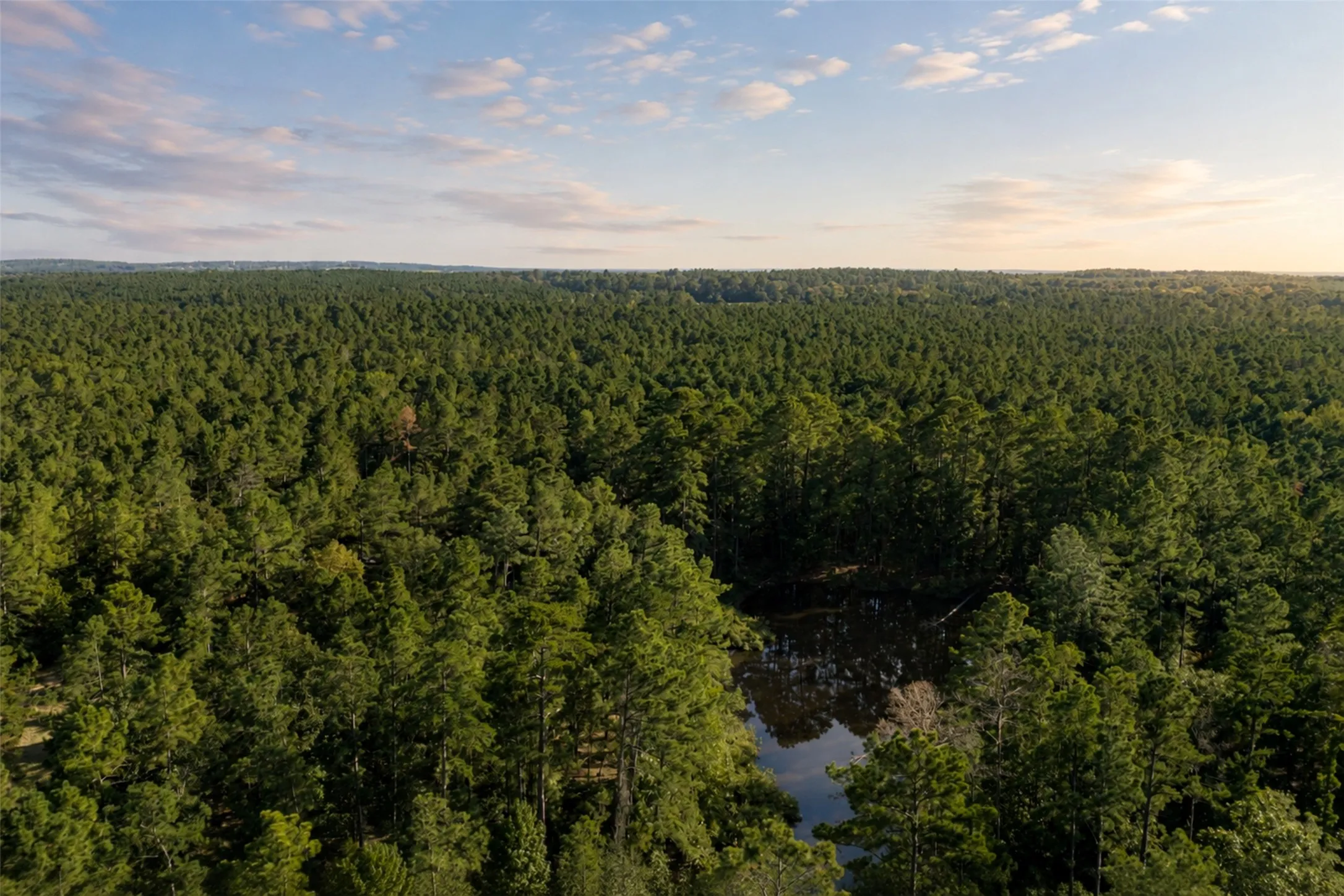 Unimproved Land For Sale in Anderson County , 00 State Highway 294, Elkhart, Texas 75839, 0, 0, Garage spaces, 0 Sqft, built in 0, mls#21368752, Real Estate Agent in Elkhart, Homes For Sale in Anderson county, Homes For Sale in Elkhart, Realtor in Elkhart Texas, Real Estate Brokerage Independent Realty Texas, Luminita Cordes Realtor