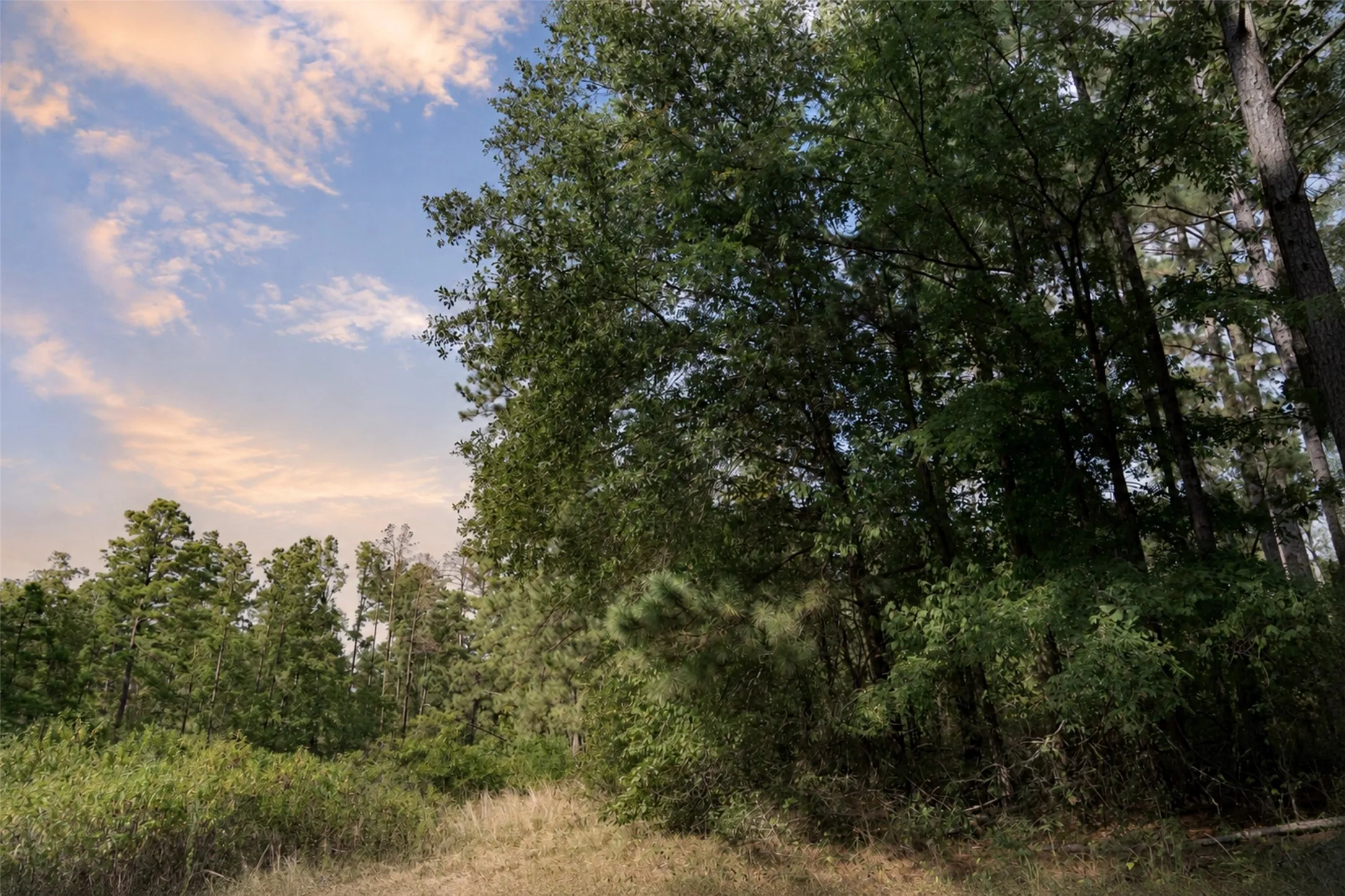 Unimproved Land For Sale in Anderson County , 00 State Highway 294, Elkhart, Texas 75839, 0, 0, Garage spaces, 0 Sqft, built in 0, mls#21368752, Real Estate Agent in Elkhart, Homes For Sale in Anderson county, Homes For Sale in Elkhart, Realtor in Elkhart Texas, Real Estate Brokerage Independent Realty Texas, Luminita Cordes Realtor