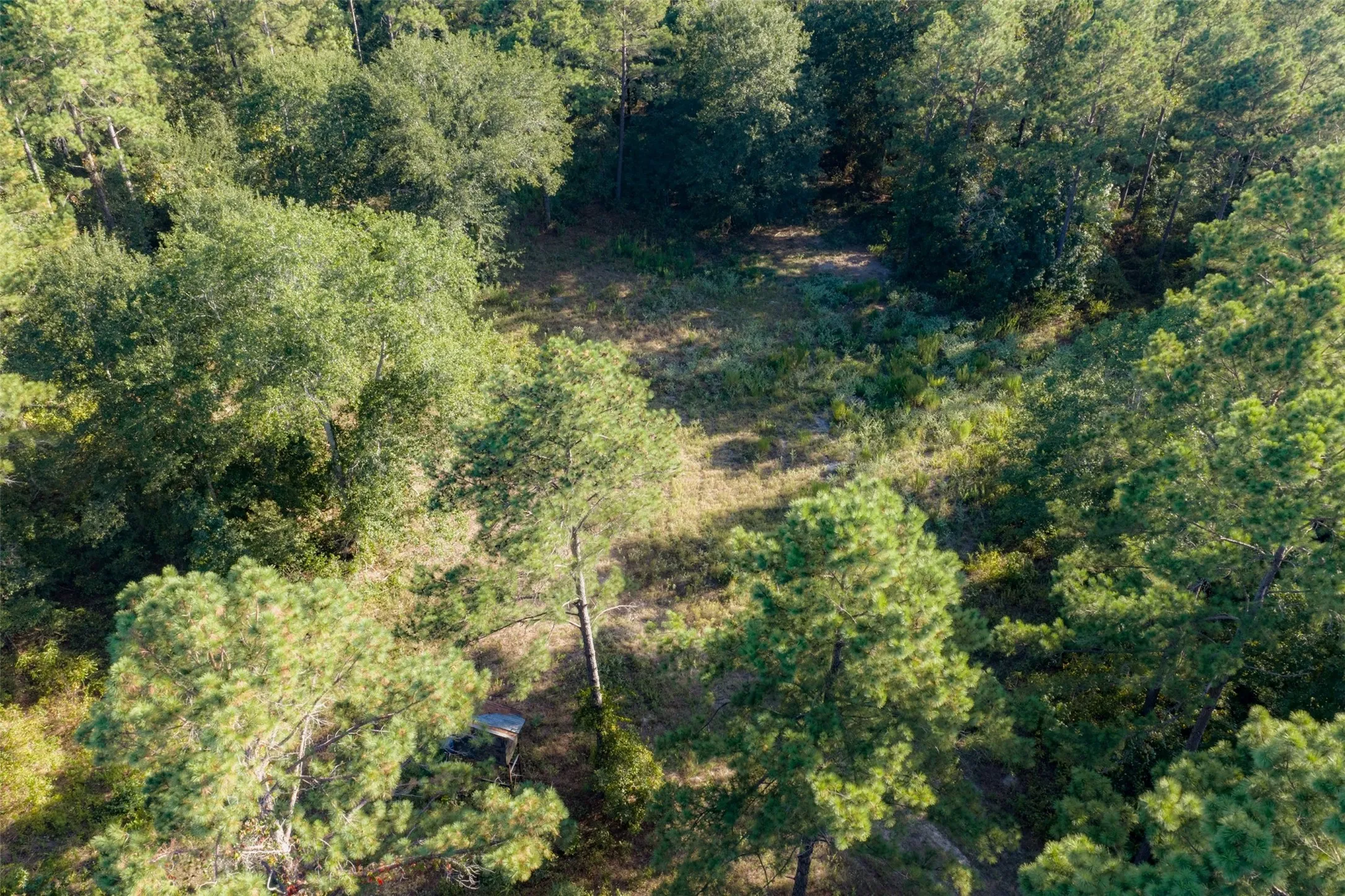 Unimproved Land For Sale in Anderson County , 00 State Highway 294, Elkhart, Texas 75839, 0, 0, Garage spaces, 0 Sqft, built in 0, mls#21368752, Real Estate Agent in Elkhart, Homes For Sale in Anderson county, Homes For Sale in Elkhart, Realtor in Elkhart Texas, Real Estate Brokerage Independent Realty Texas, Luminita Cordes Realtor
