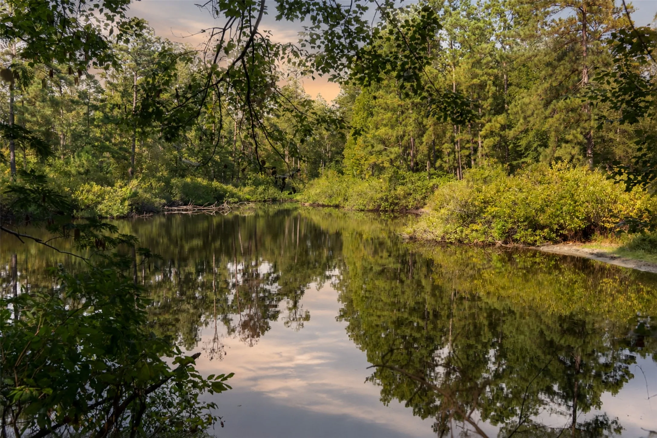 Unimproved Land For Sale in Anderson County , 00 State Highway 294, Elkhart, Texas 75839, 0, 0, Garage spaces, 0 Sqft, built in 0, mls#21368752, Real Estate Agent in Elkhart, Homes For Sale in Anderson county, Homes For Sale in Elkhart, Realtor in Elkhart Texas, Real Estate Brokerage Independent Realty Texas, Luminita Cordes Realtor