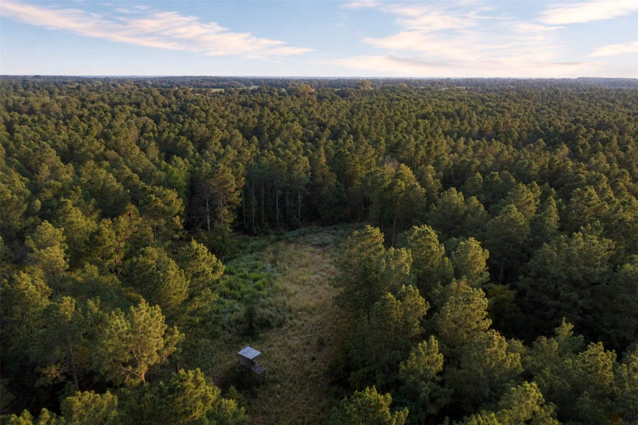 Unimproved Land For Sale in Anderson County , 00 State Highway 294, Elkhart, Texas 75839, 0, 0, Garage spaces, 0 Sqft, built in 0, mls#21368752, Real Estate Agent in Elkhart, Homes For Sale in Anderson county, Homes For Sale in Elkhart, Realtor in Elkhart Texas, Real Estate Brokerage Independent Realty Texas, Luminita Cordes Realtor