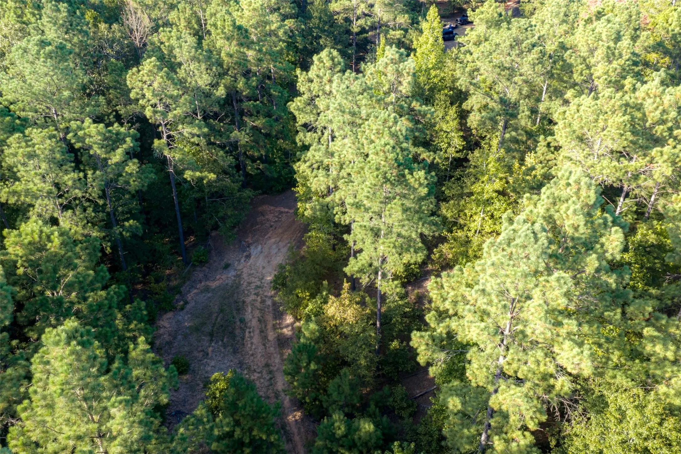 Unimproved Land For Sale in Anderson County , 00 State Highway 294, Elkhart, Texas 75839, 0, 0, Garage spaces, 0 Sqft, built in 0, mls#21368752, Real Estate Agent in Elkhart, Homes For Sale in Anderson county, Homes For Sale in Elkhart, Realtor in Elkhart Texas, Real Estate Brokerage Independent Realty Texas, Luminita Cordes Realtor