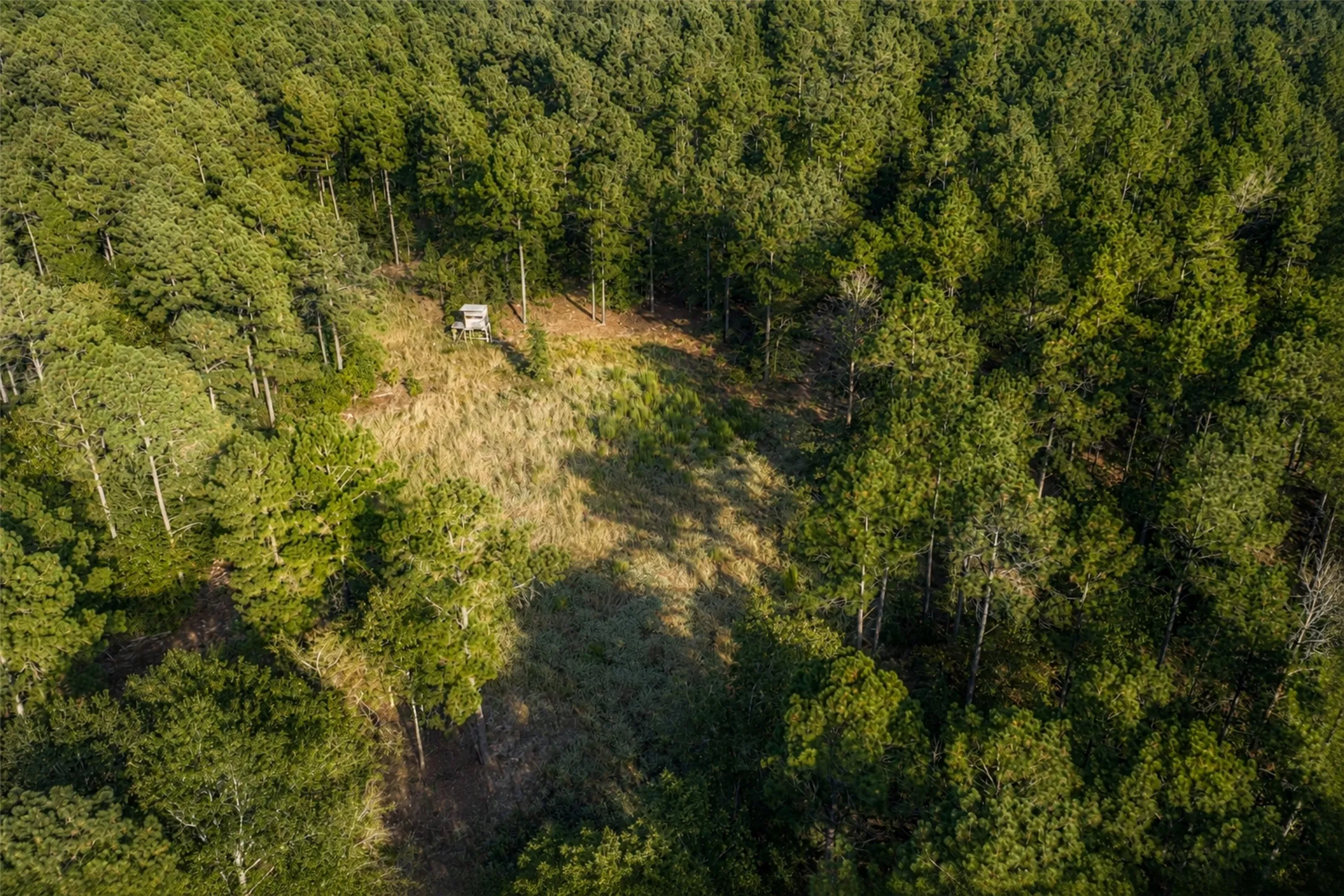 Unimproved Land For Sale in Anderson County , 00 State Highway 294, Elkhart, Texas 75839, 0, 0, Garage spaces, 0 Sqft, built in 0, mls#21368752, Real Estate Agent in Elkhart, Homes For Sale in Anderson county, Homes For Sale in Elkhart, Realtor in Elkhart Texas, Real Estate Brokerage Independent Realty Texas, Luminita Cordes Realtor