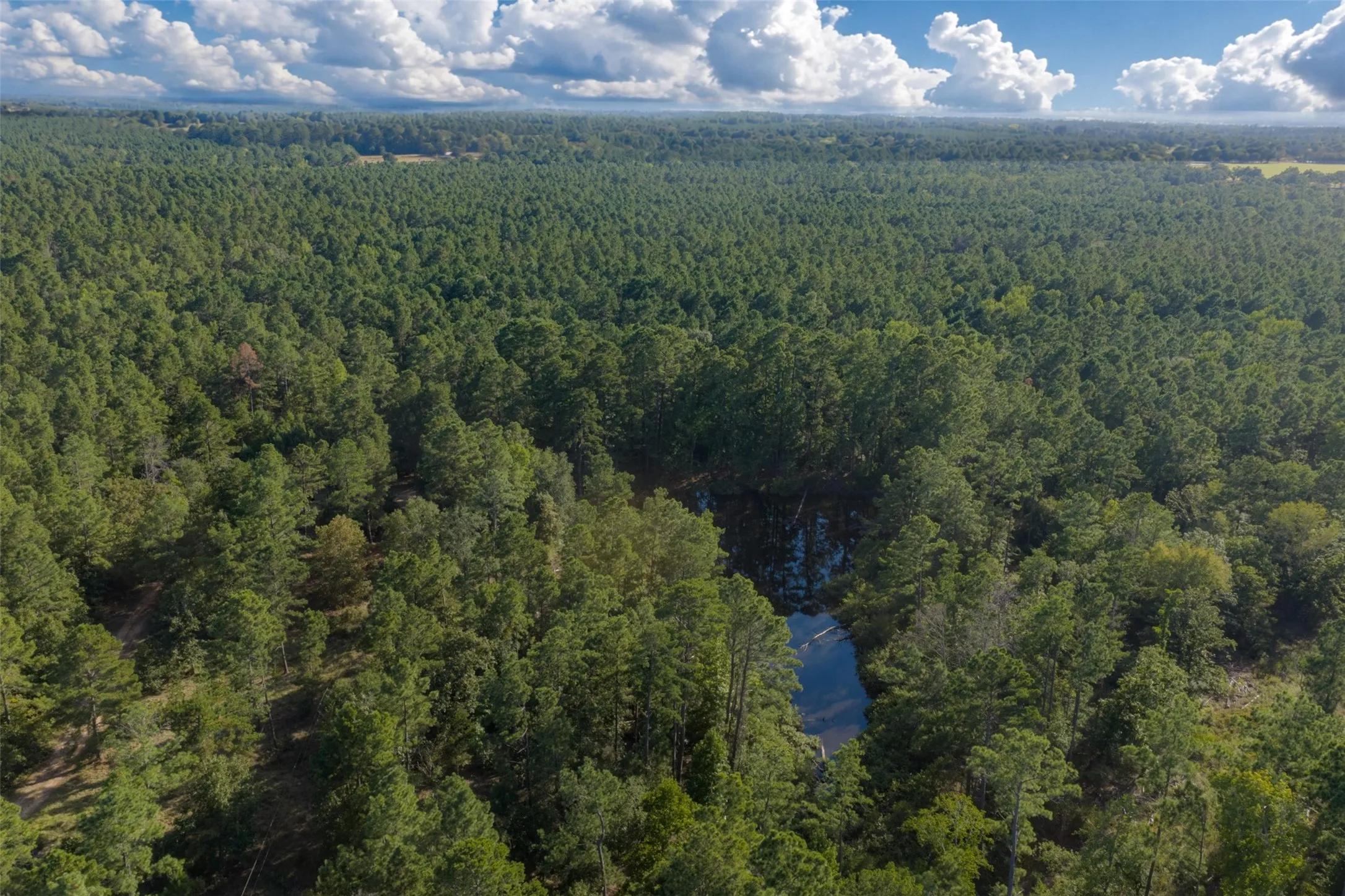 Unimproved Land For Sale in Anderson County , 00 State Highway 294, Elkhart, Texas 75839, 0, 0, Garage spaces, 0 Sqft, built in 0, mls#21368752, Real Estate Agent in Elkhart, Homes For Sale in Anderson county, Homes For Sale in Elkhart, Realtor in Elkhart Texas, Real Estate Brokerage Independent Realty Texas, Luminita Cordes Realtor