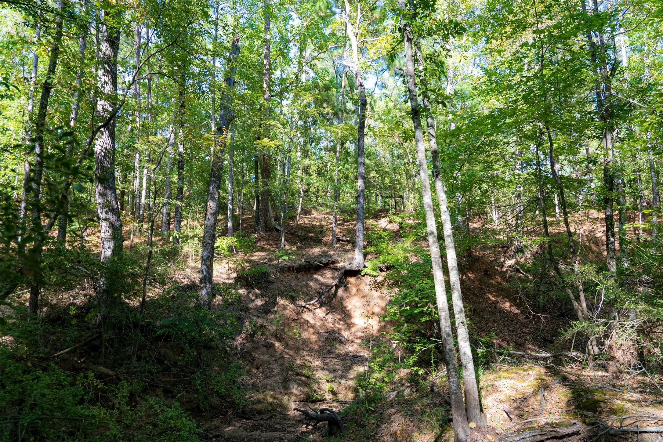 Unimproved Land For Sale in Anderson County , 00 State Highway 294, Elkhart, Texas 75839, 0, 0, Garage spaces, 0 Sqft, built in 0, mls#21368752, Real Estate Agent in Elkhart, Homes For Sale in Anderson county, Homes For Sale in Elkhart, Realtor in Elkhart Texas, Real Estate Brokerage Independent Realty Texas, Luminita Cordes Realtor
