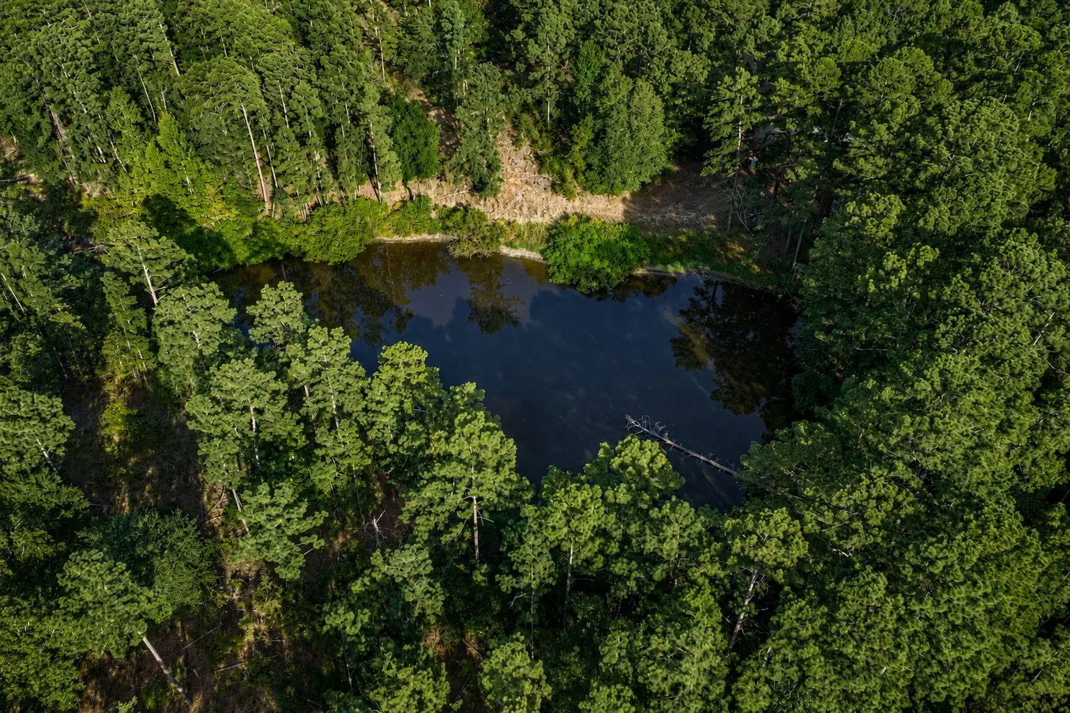 Unimproved Land For Sale in Anderson County , 00 State Highway 294, Elkhart, Texas 75839, 0, 0, Garage spaces, 0 Sqft, built in 0, mls#21368752, Real Estate Agent in Elkhart, Homes For Sale in Anderson county, Homes For Sale in Elkhart, Realtor in Elkhart Texas, Real Estate Brokerage Independent Realty Texas, Luminita Cordes Realtor