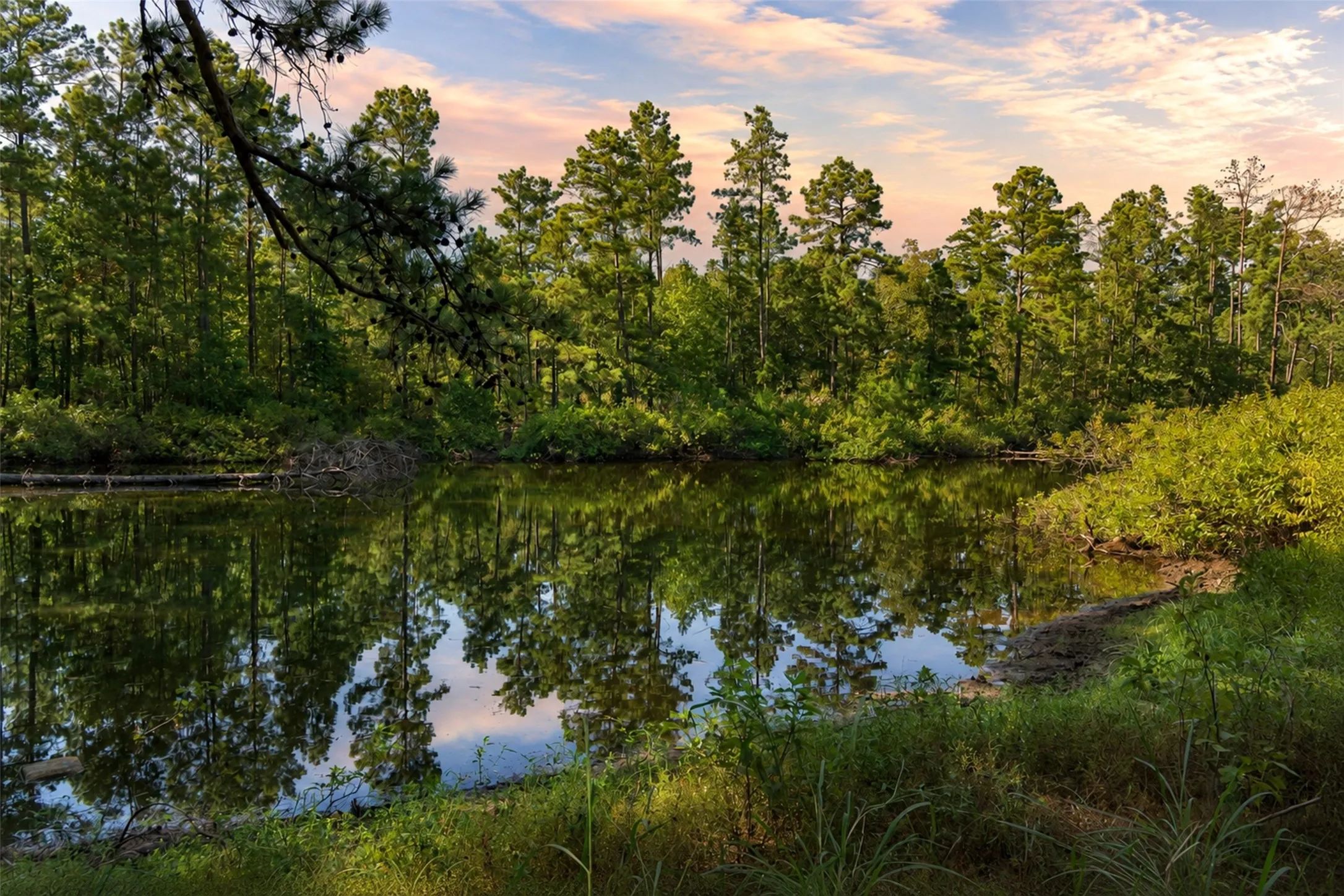 Unimproved Land For Sale in Anderson County , 00 State Highway 294, Elkhart, Texas 75839, 0, 0, Garage spaces, 0 Sqft, built in 0, mls#21368752, Real Estate Agent in Elkhart, Homes For Sale in Anderson county, Homes For Sale in Elkhart, Realtor in Elkhart Texas, Real Estate Brokerage Independent Realty Texas, Luminita Cordes Realtor