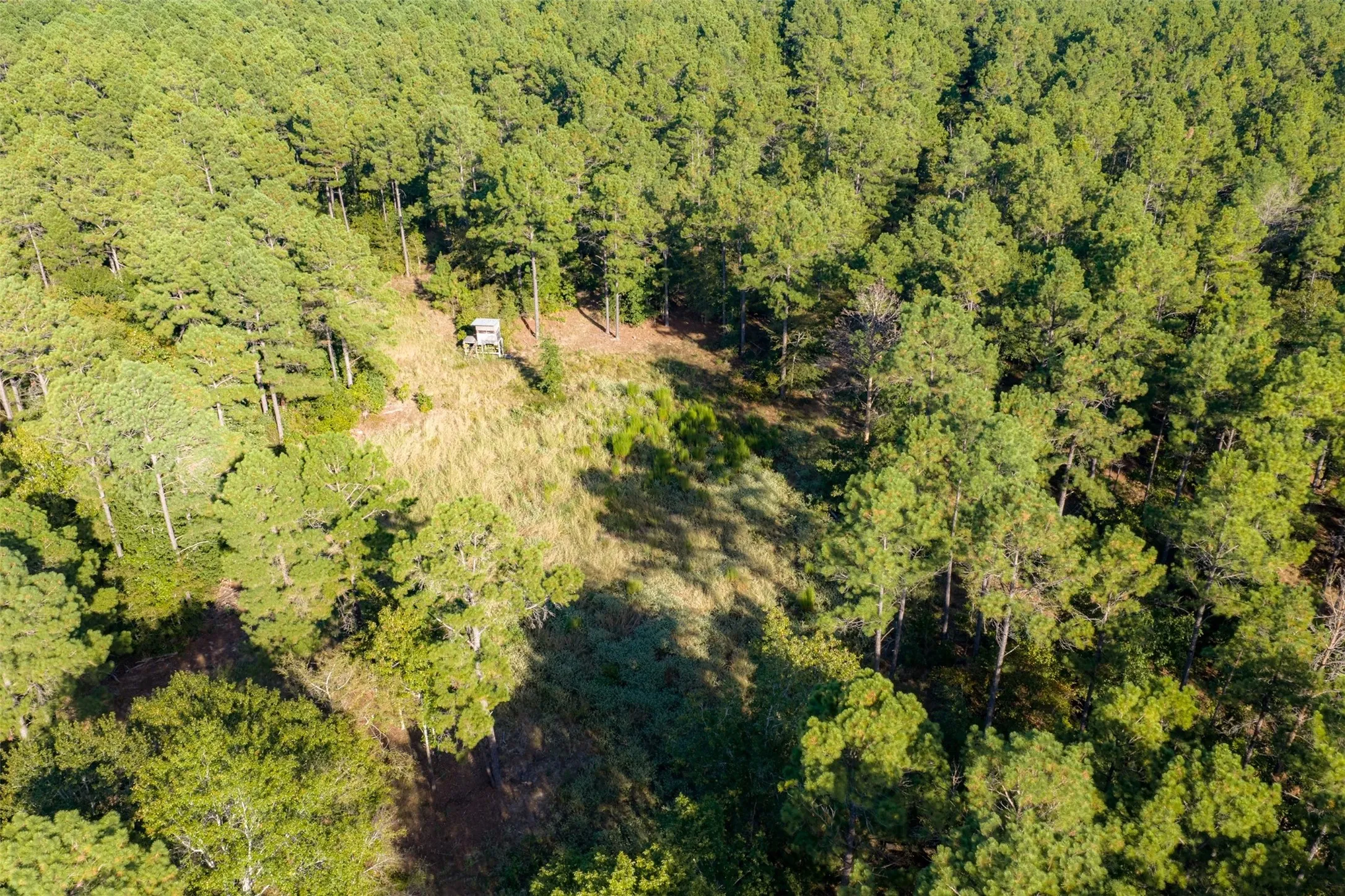 Unimproved Land For Sale in Anderson County , 00 State Highway 294, Elkhart, Texas 75839, 0, 0, Garage spaces, 0 Sqft, built in 0, mls#21368752, Real Estate Agent in Elkhart, Homes For Sale in Anderson county, Homes For Sale in Elkhart, Realtor in Elkhart Texas, Real Estate Brokerage Independent Realty Texas, Luminita Cordes Realtor