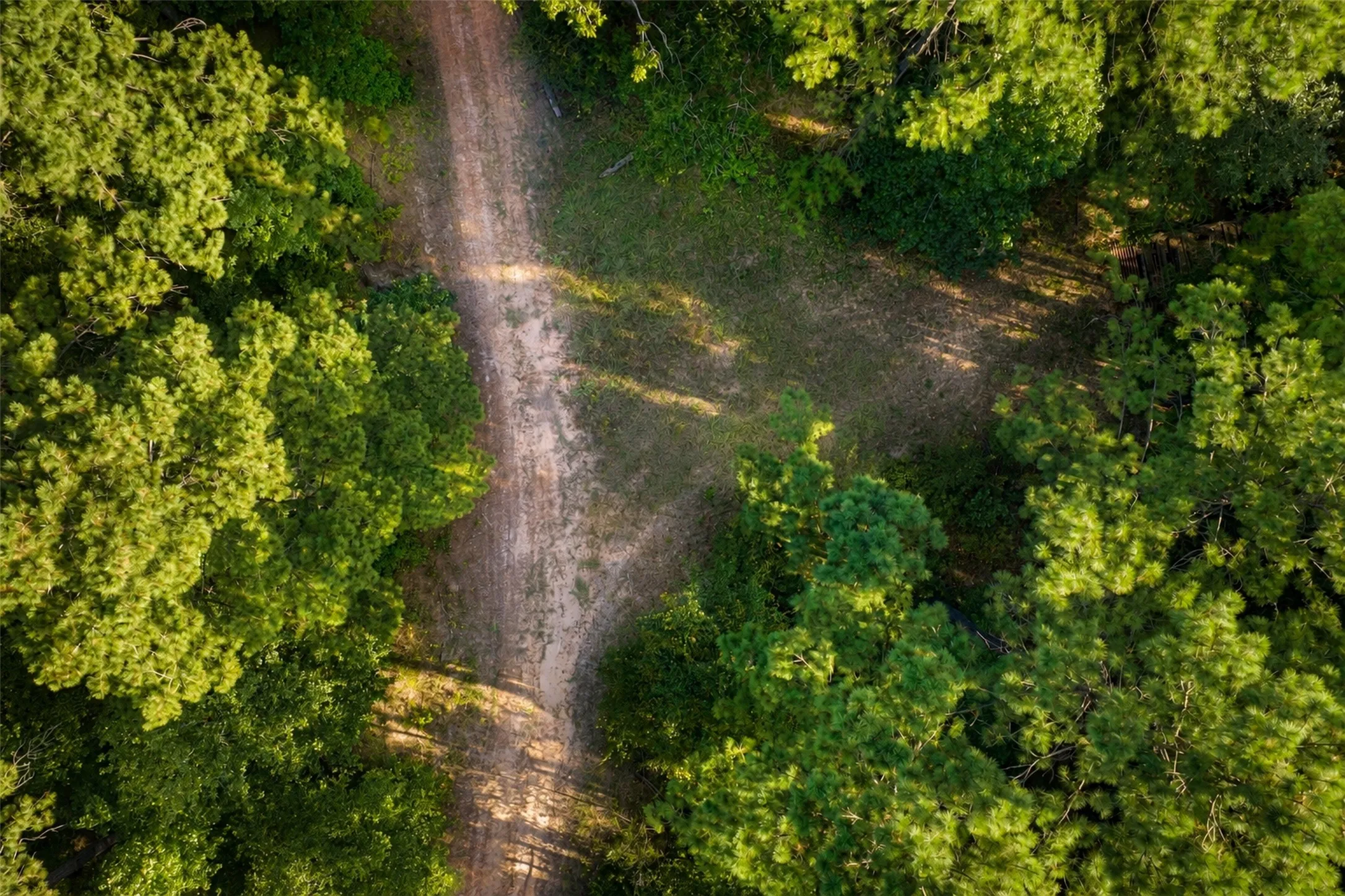 Unimproved Land For Sale in Anderson County , 00 State Highway 294, Elkhart, Texas 75839, 0, 0, Garage spaces, 0 Sqft, built in 0, mls#21368752, Real Estate Agent in Elkhart, Homes For Sale in Anderson county, Homes For Sale in Elkhart, Realtor in Elkhart Texas, Real Estate Brokerage Independent Realty Texas, Luminita Cordes Realtor