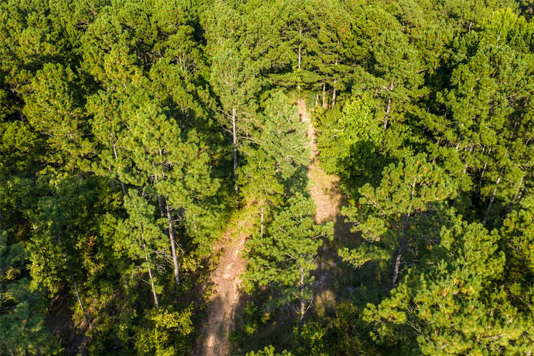 Unimproved Land For Sale in Anderson County , 00 State Highway 294, Elkhart, Texas 75839, 0, 0, Garage spaces, 0 Sqft, built in 0, mls#21368752, Real Estate Agent in Elkhart, Homes For Sale in Anderson county, Homes For Sale in Elkhart, Realtor in Elkhart Texas, Real Estate Brokerage Independent Realty Texas, Luminita Cordes Realtor