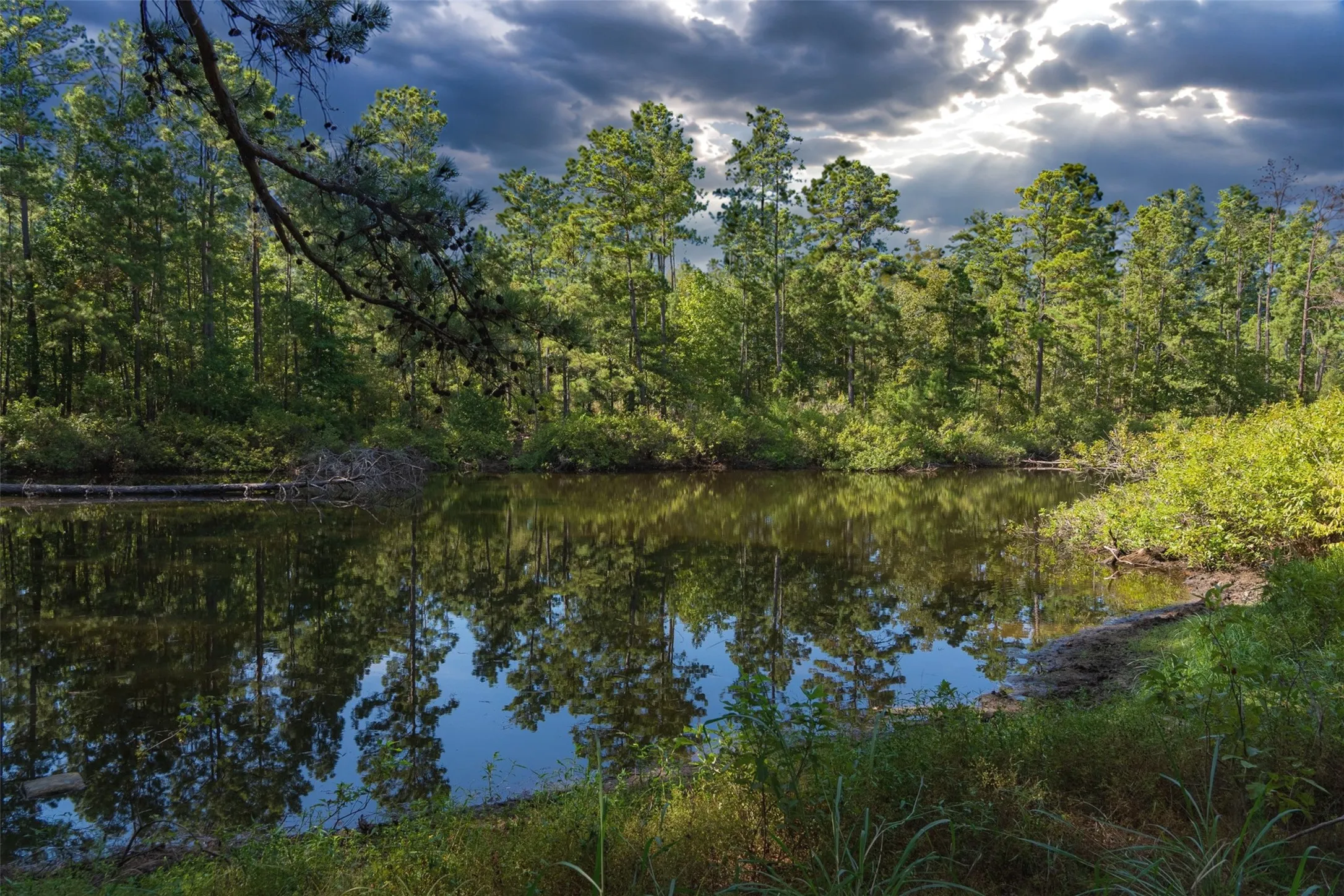 Unimproved Land For Sale in Anderson County , 00 State Highway 294, Elkhart, Texas 75839, 0, 0, Garage spaces, 0 Sqft, built in 0, mls#21368752, Real Estate Agent in Elkhart, Homes For Sale in Anderson county, Homes For Sale in Elkhart, Realtor in Elkhart Texas, Real Estate Brokerage Independent Realty Texas, Luminita Cordes Realtor