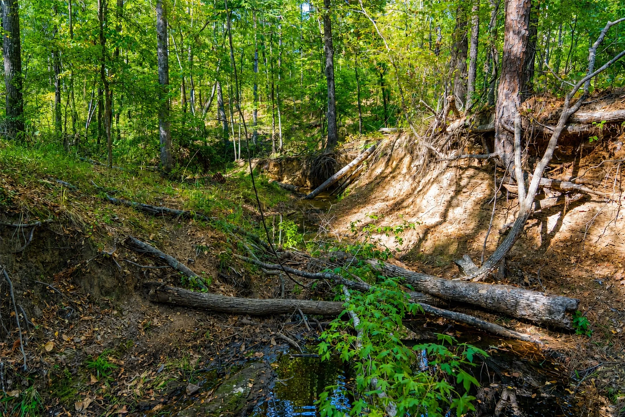Unimproved Land For Sale in Anderson County , 00 State Highway 294, Elkhart, Texas 75839, 0, 0, Garage spaces, 0 Sqft, built in 0, mls#21368752, Real Estate Agent in Elkhart, Homes For Sale in Anderson county, Homes For Sale in Elkhart, Realtor in Elkhart Texas, Real Estate Brokerage Independent Realty Texas, Luminita Cordes Realtor