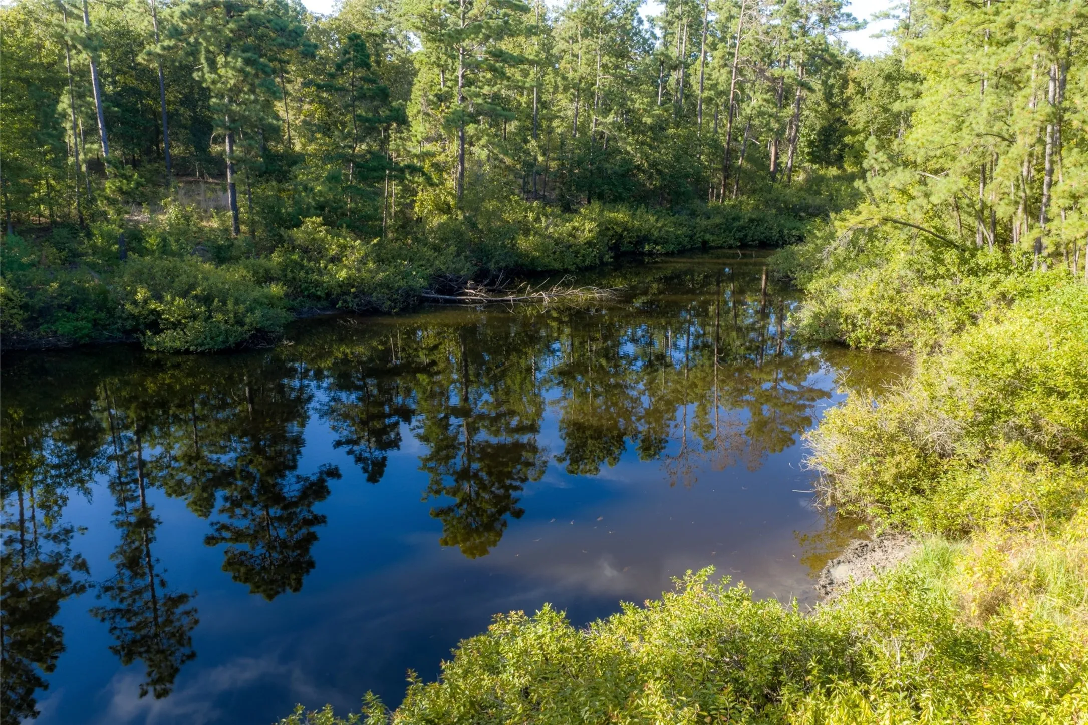 Unimproved Land For Sale in Anderson County , 00 State Highway 294, Elkhart, Texas 75839, 0, 0, Garage spaces, 0 Sqft, built in 0, mls#21368752, Real Estate Agent in Elkhart, Homes For Sale in Anderson county, Homes For Sale in Elkhart, Realtor in Elkhart Texas, Real Estate Brokerage Independent Realty Texas, Luminita Cordes Realtor