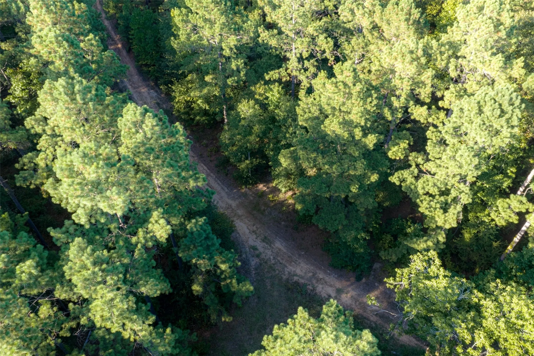 Unimproved Land For Sale in Anderson County , 00 State Highway 294, Elkhart, Texas 75839, 0, 0, Garage spaces, 0 Sqft, built in 0, mls#21368752, Real Estate Agent in Elkhart, Homes For Sale in Anderson county, Homes For Sale in Elkhart, Realtor in Elkhart Texas, Real Estate Brokerage Independent Realty Texas, Luminita Cordes Realtor