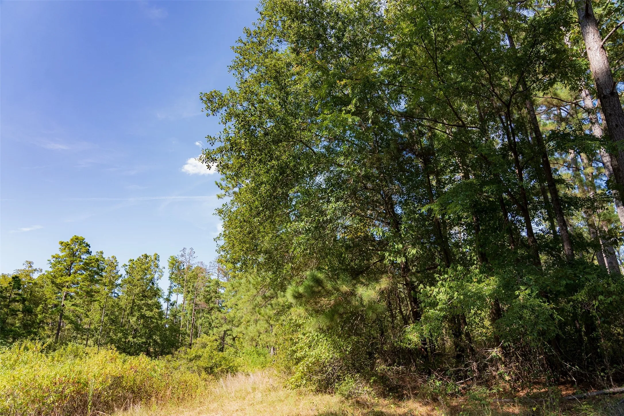Unimproved Land For Sale in Anderson County , 00 State Highway 294, Elkhart, Texas 75839, 0, 0, Garage spaces, 0 Sqft, built in 0, mls#21368752, Real Estate Agent in Elkhart, Homes For Sale in Anderson county, Homes For Sale in Elkhart, Realtor in Elkhart Texas, Real Estate Brokerage Independent Realty Texas, Luminita Cordes Realtor