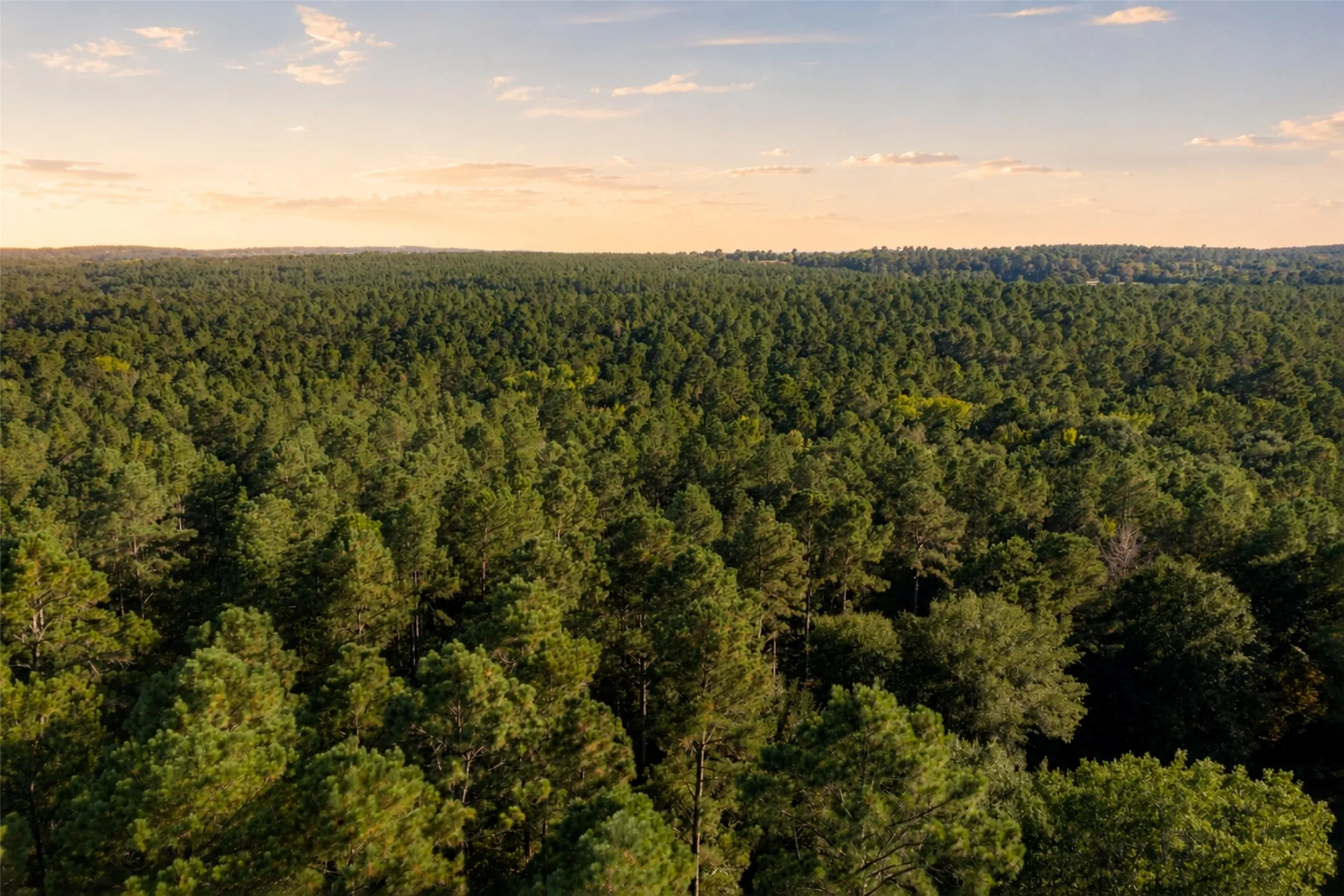 Unimproved Land For Sale in Anderson County , 00 State Highway 294, Elkhart, Texas 75839, 0, 0, Garage spaces, 0 Sqft, built in 0, mls#21368752, Real Estate Agent in Elkhart, Homes For Sale in Anderson county, Homes For Sale in Elkhart, Realtor in Elkhart Texas, Real Estate Brokerage Independent Realty Texas, Luminita Cordes Realtor