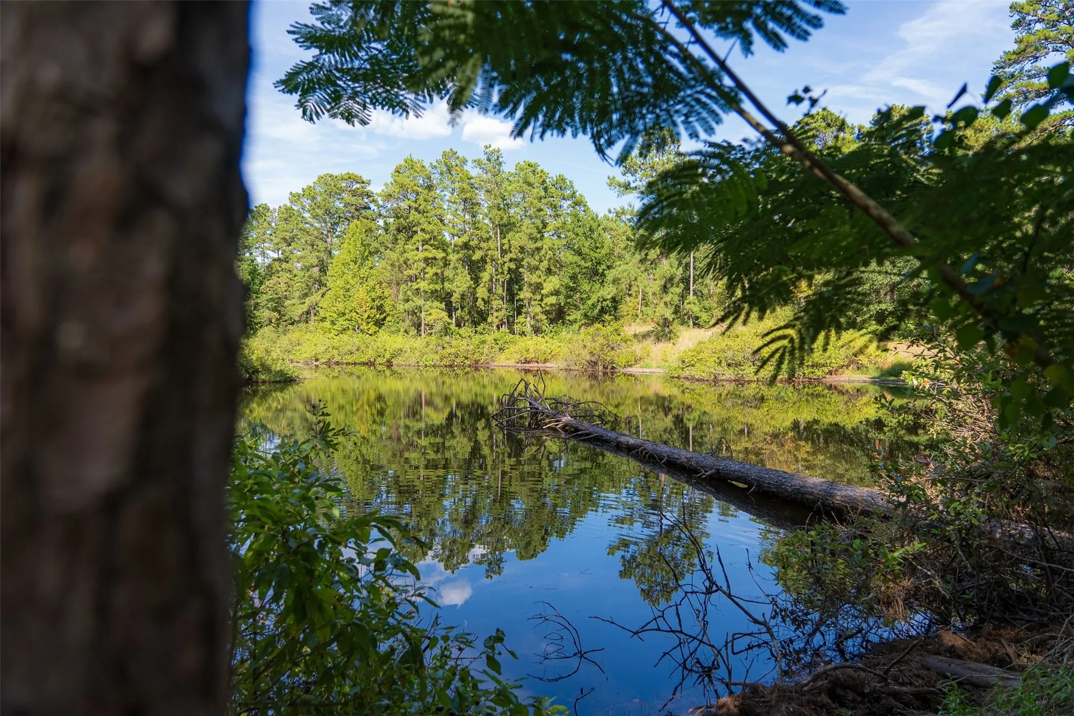 Unimproved Land For Sale in Anderson County , 00 State Highway 294, Elkhart, Texas 75839, 0, 0, Garage spaces, 0 Sqft, built in 0, mls#21368752, Real Estate Agent in Elkhart, Homes For Sale in Anderson county, Homes For Sale in Elkhart, Realtor in Elkhart Texas, Real Estate Brokerage Independent Realty Texas, Luminita Cordes Realtor