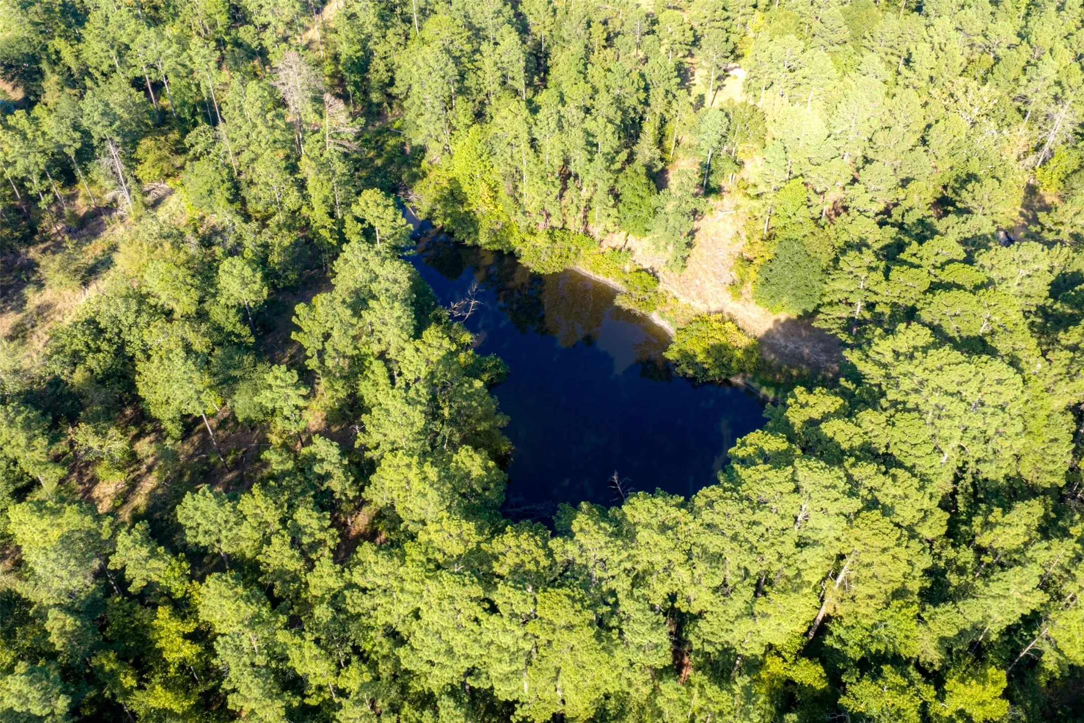 Unimproved Land For Sale in Anderson County , 00 State Highway 294, Elkhart, Texas 75839, 0, 0, Garage spaces, 0 Sqft, built in 0, mls#21368752, Real Estate Agent in Elkhart, Homes For Sale in Anderson county, Homes For Sale in Elkhart, Realtor in Elkhart Texas, Real Estate Brokerage Independent Realty Texas, Luminita Cordes Realtor