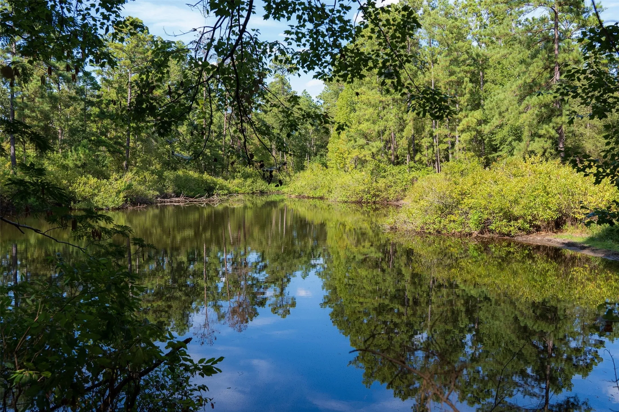 Unimproved Land For Sale in Anderson County , 00 State Highway 294, Elkhart, Texas 75839, 0, 0, Garage spaces, 0 Sqft, built in 0, mls#21368752, Real Estate Agent in Elkhart, Homes For Sale in Anderson county, Homes For Sale in Elkhart, Realtor in Elkhart Texas, Real Estate Brokerage Independent Realty Texas, Luminita Cordes Realtor