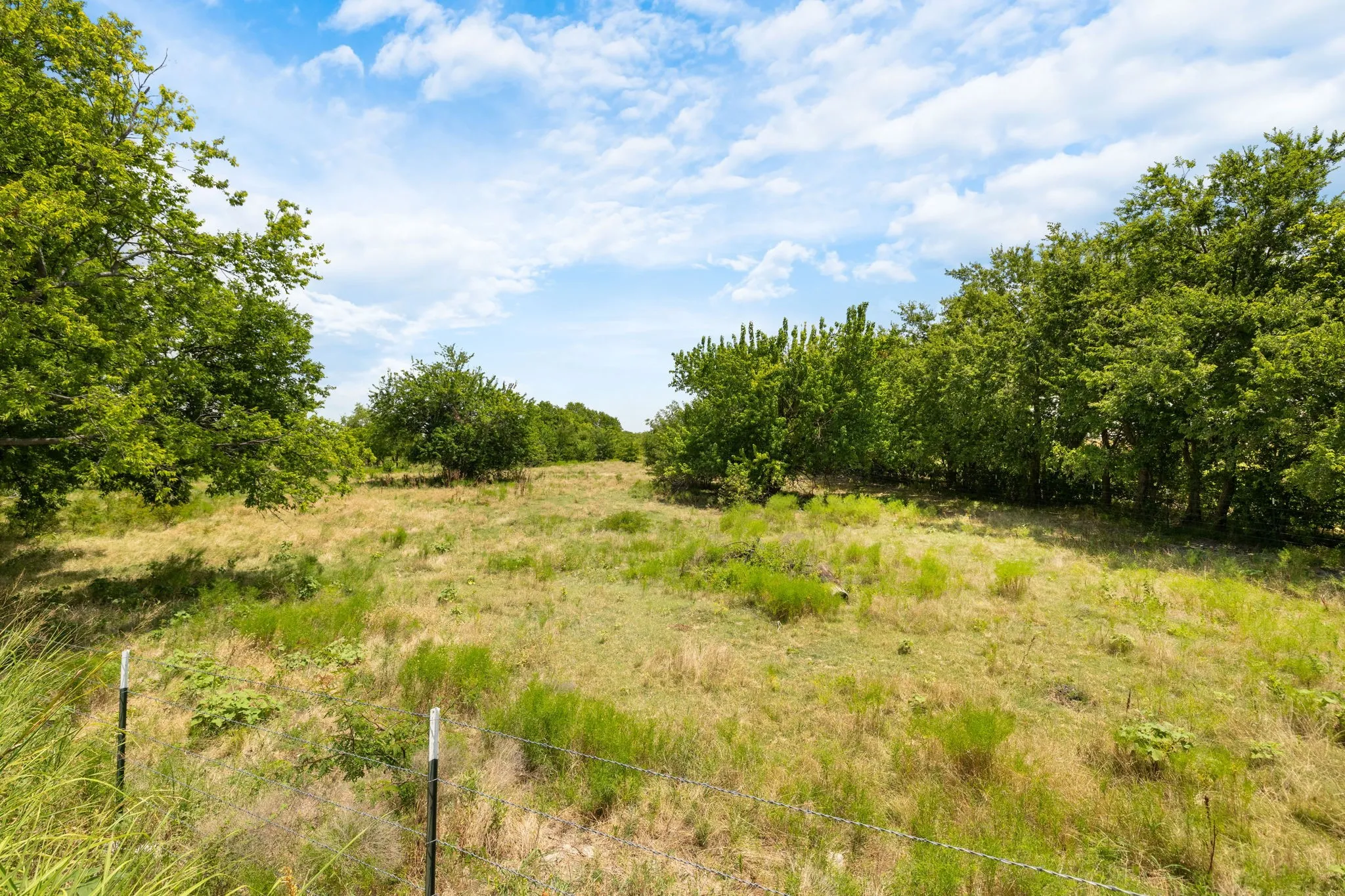 Single Family Residence For Rent in Collin County , 3100 Greenbriar Drive, Celina, Texas 75009, 3 Bedroom, 3 Bathroom, 2 Garage spaces, 2,207 Sqft, built in 2023, mls#21368755, Real Estate Agent in Celina, Homes For Rent in Collin county, Homes For Rent in Celina, Realtor in Celina Texas, Real Estate Brokerage Independent Realty Texas, Luminita Cordes Realtor