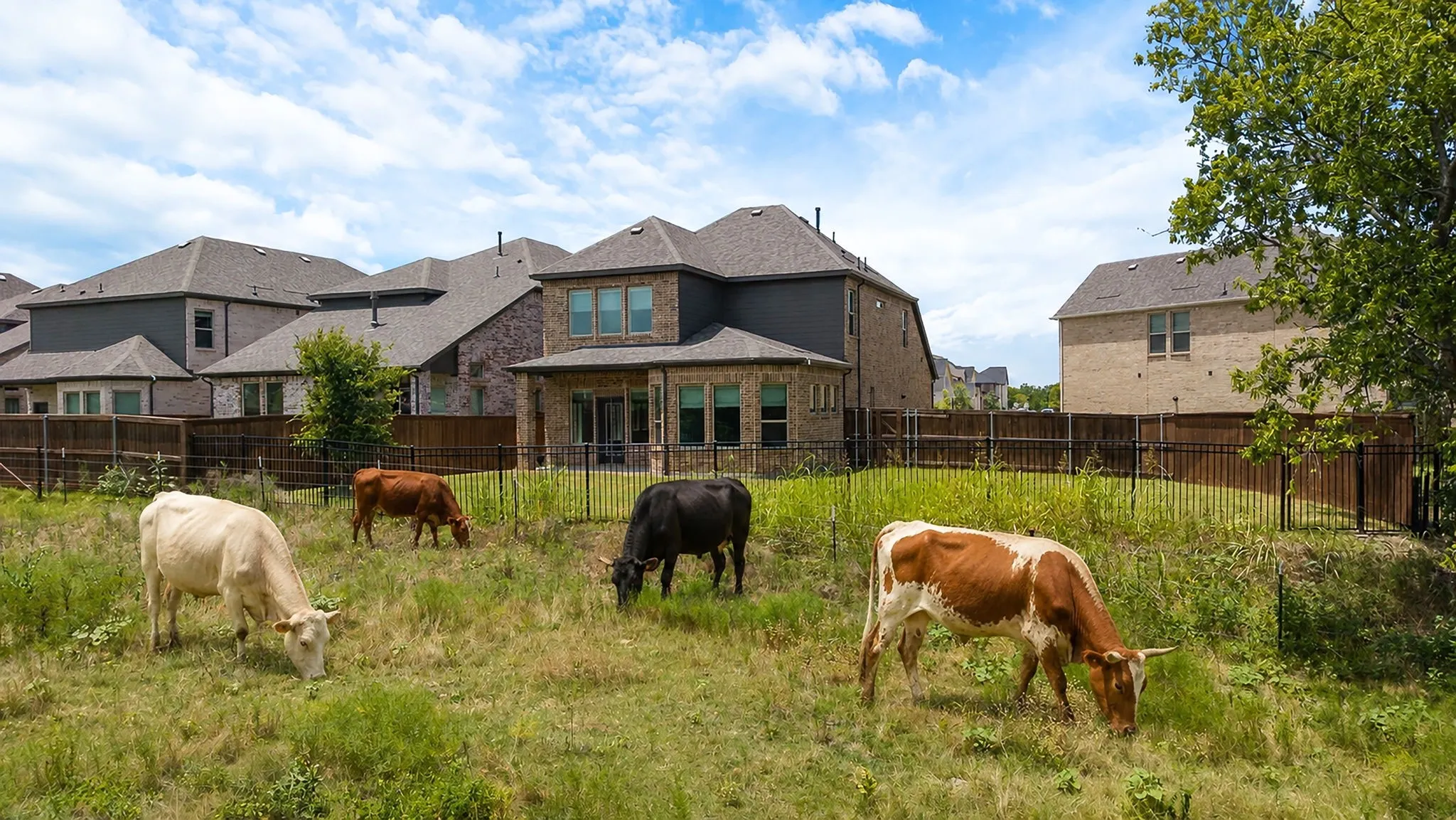 Single Family Residence For Rent in Collin County , 3100 Greenbriar Drive, Celina, Texas 75009, 3 Bedroom, 3 Bathroom, 2 Garage spaces, 2,207 Sqft, built in 2023, mls#21368755, Real Estate Agent in Celina, Homes For Rent in Collin county, Homes For Rent in Celina, Realtor in Celina Texas, Real Estate Brokerage Independent Realty Texas, Luminita Cordes Realtor