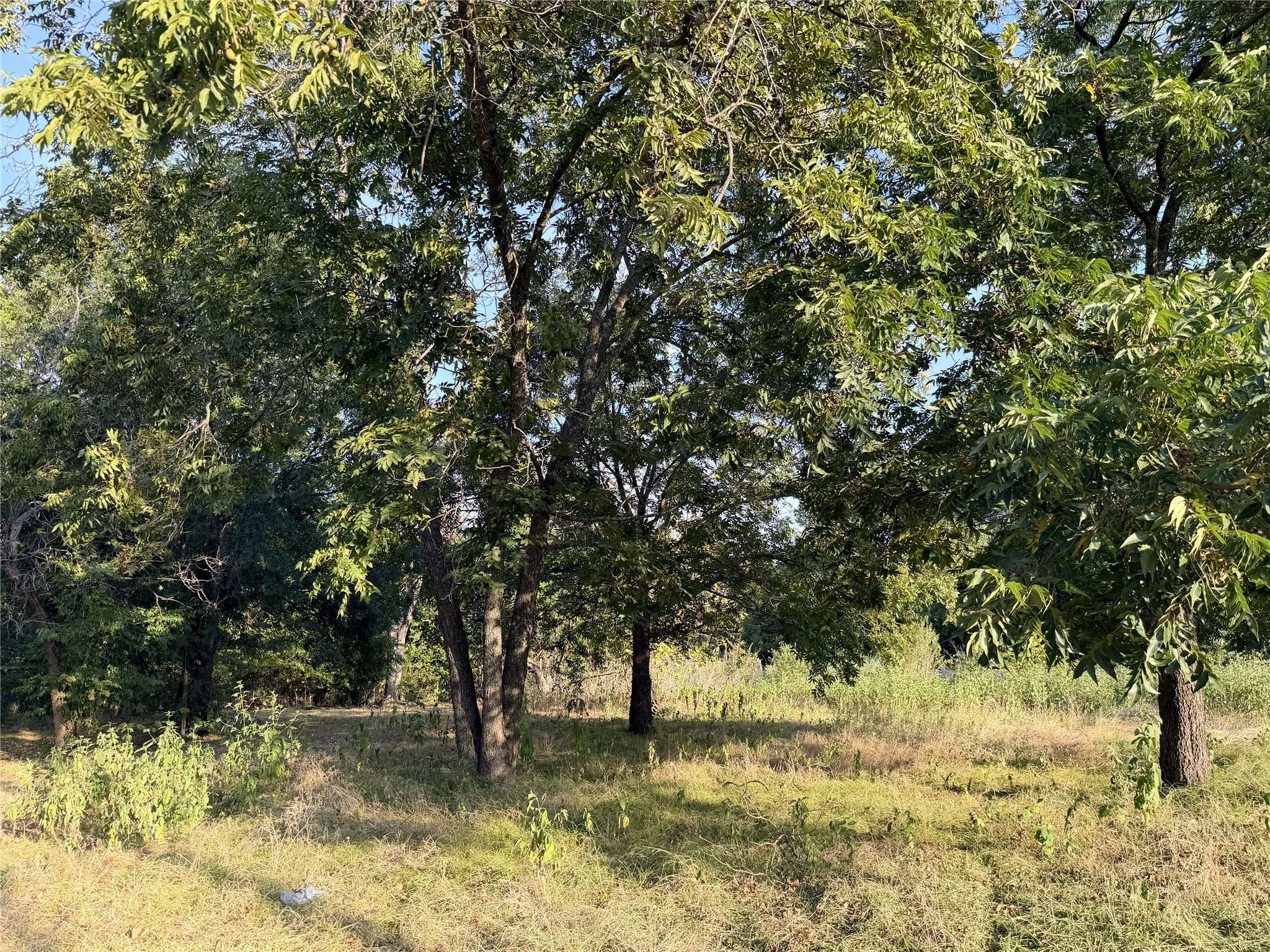Unimproved Land For Sale in Navarro County , 111 E Rob Avenue, Corsicana, Texas 75110, 0, 0, Garage spaces, 0 Sqft, built in 0, mls#21368769, Real Estate Agent in Corsicana, Homes For Sale in Navarro county, Homes For Sale in Corsicana, Realtor in Corsicana Texas, Real Estate Brokerage Independent Realty Texas, Luminita Cordes Realtor