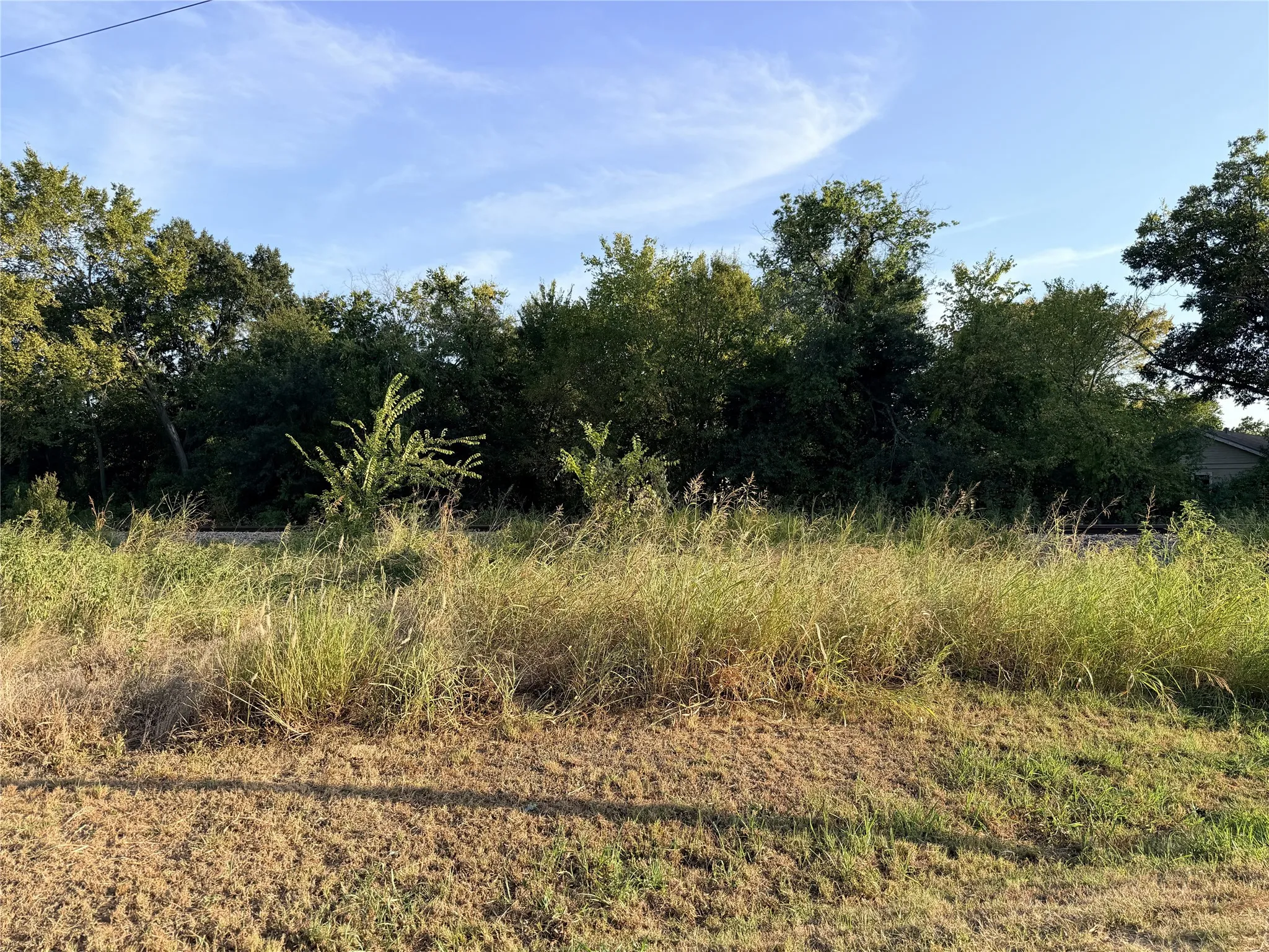 Unimproved Land For Sale in Navarro County , 111 E Rob Avenue, Corsicana, Texas 75110, 0, 0, Garage spaces, 0 Sqft, built in 0, mls#21368769, Real Estate Agent in Corsicana, Homes For Sale in Navarro county, Homes For Sale in Corsicana, Realtor in Corsicana Texas, Real Estate Brokerage Independent Realty Texas, Luminita Cordes Realtor