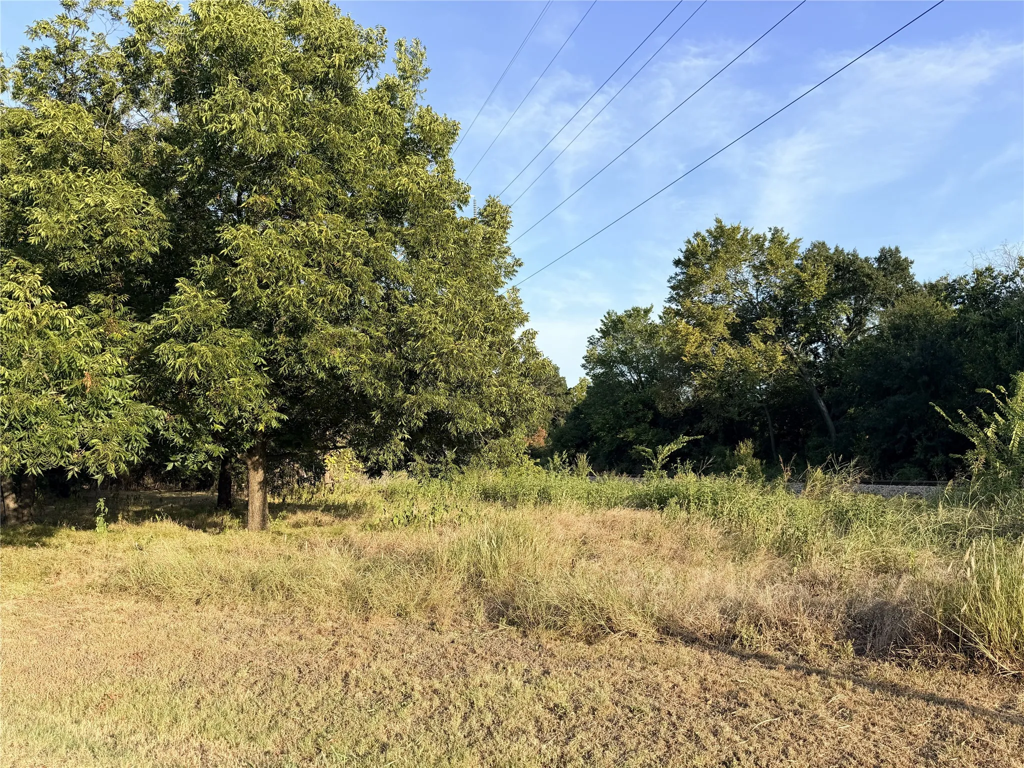 Expansive lot featuring mature trees and natural landscaping