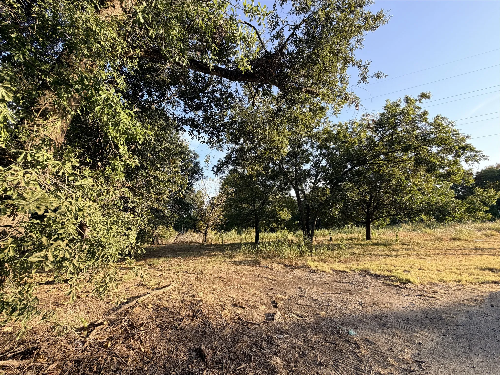 Unimproved Land For Sale in Navarro County , 111 E Rob Avenue, Corsicana, Texas 75110, 0, 0, Garage spaces, 0 Sqft, built in 0, mls#21368769, Real Estate Agent in Corsicana, Homes For Sale in Navarro county, Homes For Sale in Corsicana, Realtor in Corsicana Texas, Real Estate Brokerage Independent Realty Texas, Luminita Cordes Realtor