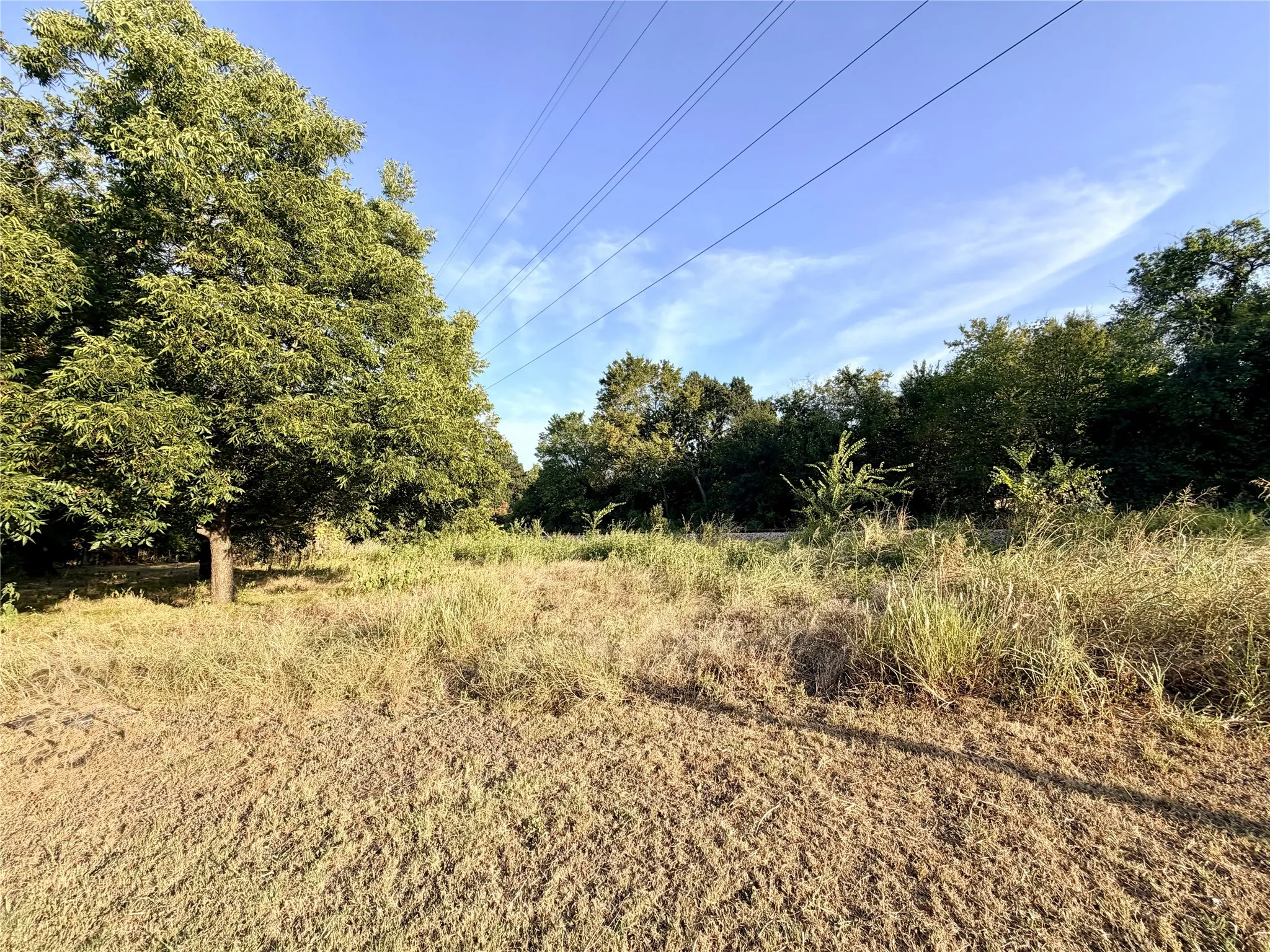 Unimproved Land For Sale in Navarro County , 111 E Rob Avenue, Corsicana, Texas 75110, 0, 0, Garage spaces, 0 Sqft, built in 0, mls#21368769, Real Estate Agent in Corsicana, Homes For Sale in Navarro county, Homes For Sale in Corsicana, Realtor in Corsicana Texas, Real Estate Brokerage Independent Realty Texas, Luminita Cordes Realtor