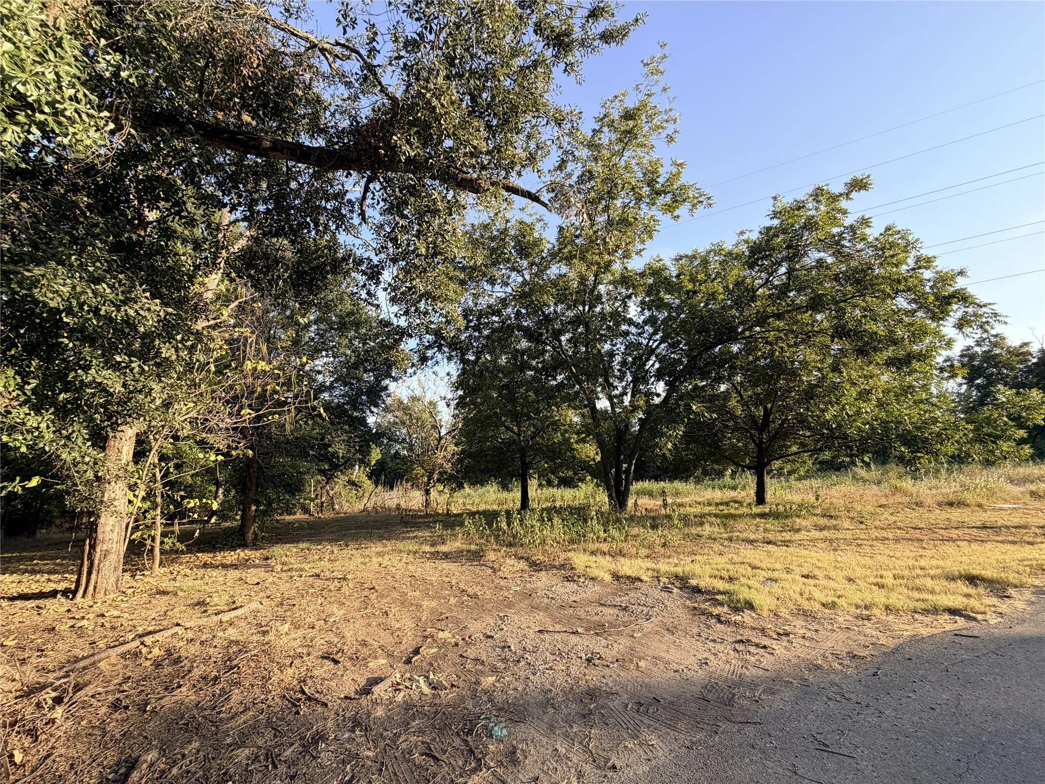 Unimproved Land For Sale in Navarro County , 111 E Rob Avenue, Corsicana, Texas 75110, 0, 0, Garage spaces, 0 Sqft, built in 0, mls#21368769, Real Estate Agent in Corsicana, Homes For Sale in Navarro county, Homes For Sale in Corsicana, Realtor in Corsicana Texas, Real Estate Brokerage Independent Realty Texas, Luminita Cordes Realtor