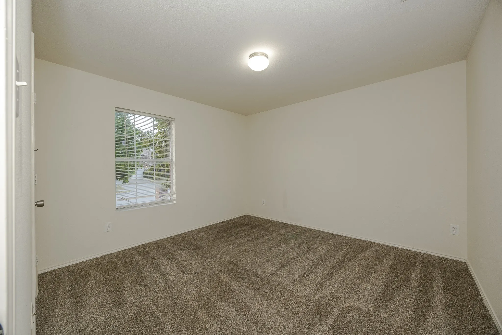 Neutral tone wall paint, flush mount ceiling light fixture, window with white trim, and carpeted flooring
