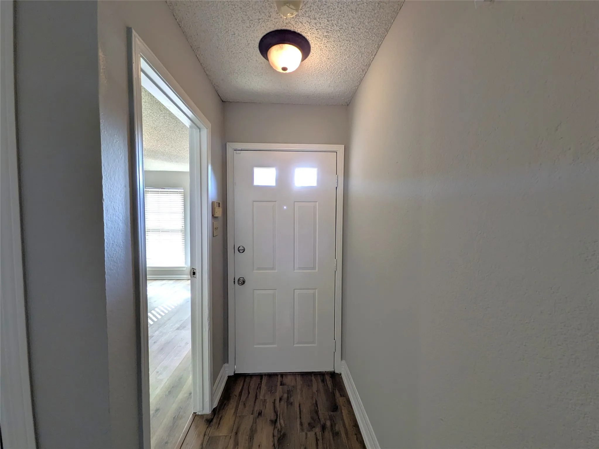 White paneled door with upper glass inserts, wood-finish flooring, and flush-mount ceiling light fixture