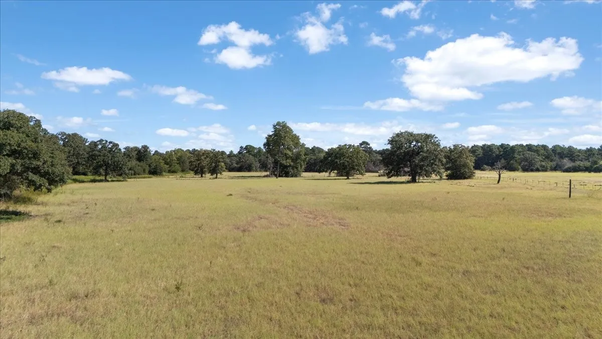 Farm For Sale in Anderson County , 1000 County Road 1208, Grapeland, Texas 75844, 3 Bedroom, 2 Bathroom, Garage spaces, 1,974 Sqft, built in 1978, mls#21368790, Real Estate Agent in Grapeland, Homes For Sale in Anderson county, Homes For Sale in Grapeland, Realtor in Grapeland Texas, Real Estate Brokerage Independent Realty Texas, Luminita Cordes Realtor