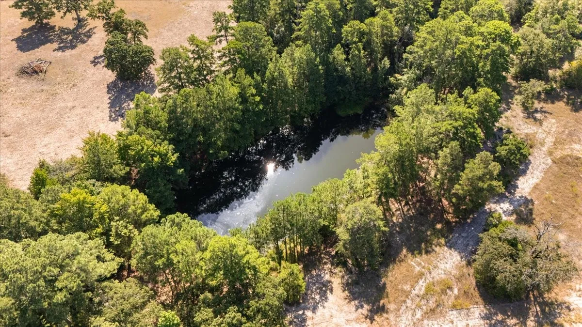 Farm For Sale in Anderson County , 1000 County Road 1208, Grapeland, Texas 75844, 3 Bedroom, 2 Bathroom, Garage spaces, 1,974 Sqft, built in 1978, mls#21368790, Real Estate Agent in Grapeland, Homes For Sale in Anderson county, Homes For Sale in Grapeland, Realtor in Grapeland Texas, Real Estate Brokerage Independent Realty Texas, Luminita Cordes Realtor
